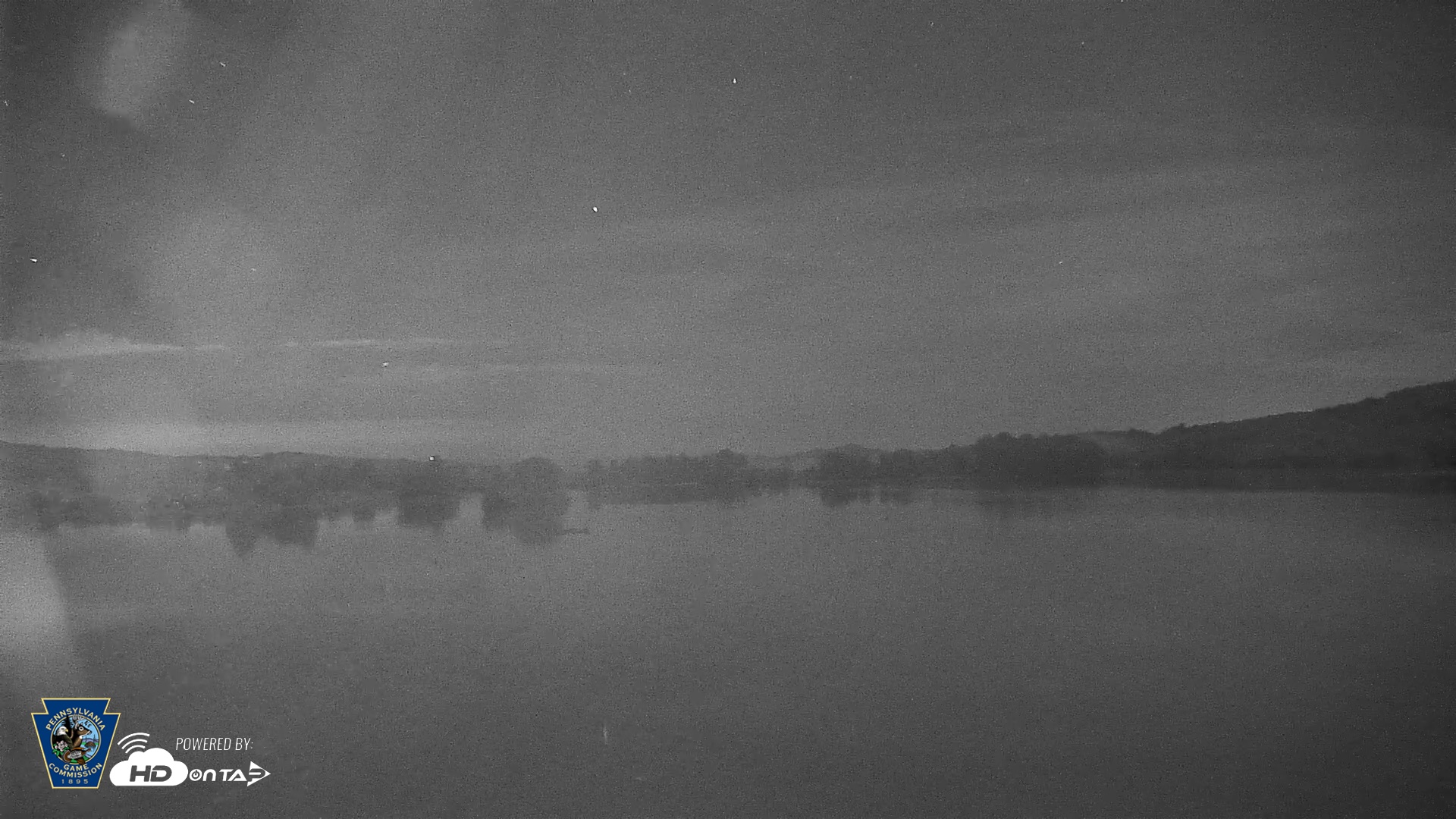 Snapshot of Pennsylvania Snow Geese Live Webcam taken Sep 2, 2026, 2:45am EDT