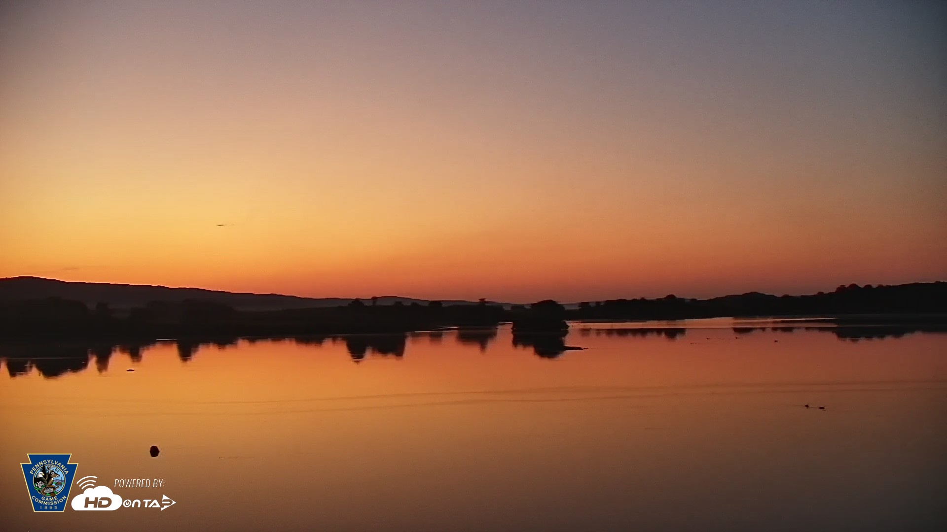 Snapshot of Pennsylvania Snow Geese Live Webcam taken Jul 14, 2026, 5:23am EDT