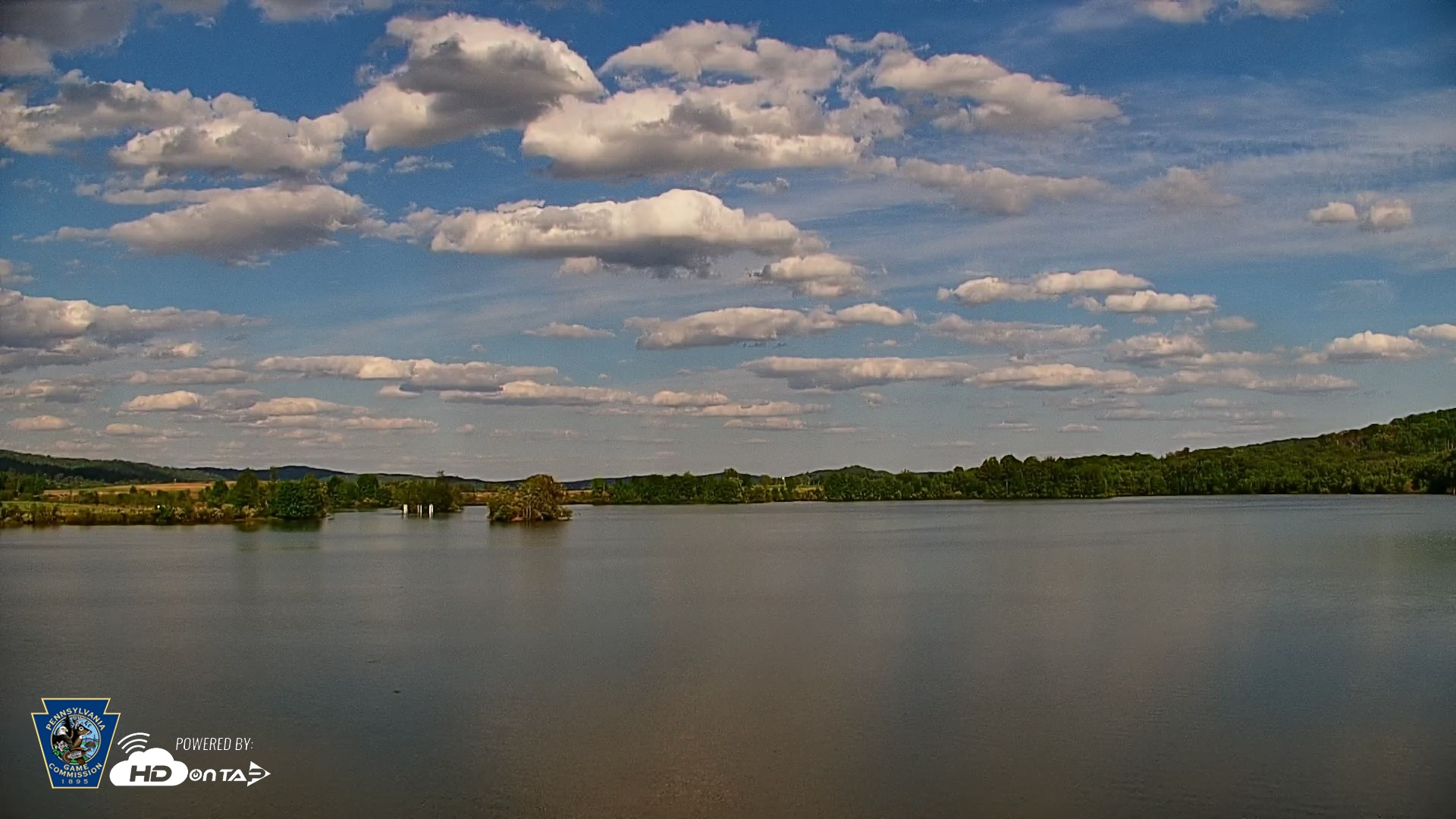 Snapshot of Pennsylvania Snow Geese Live Webcam taken May 7, 2026, 5:43pm EDT
