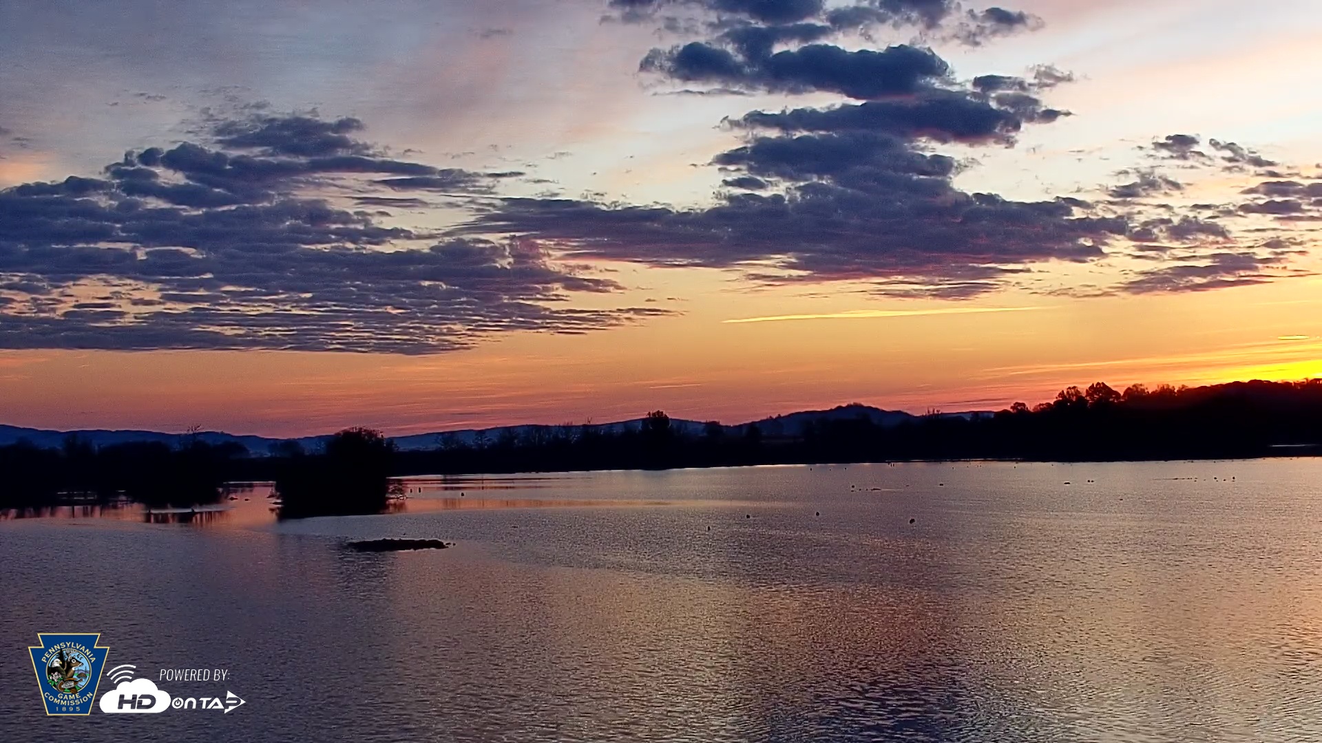 Snapshot of Pennsylvania Snow Geese Live Webcam taken Nov 9, 2025, 6:43am EST