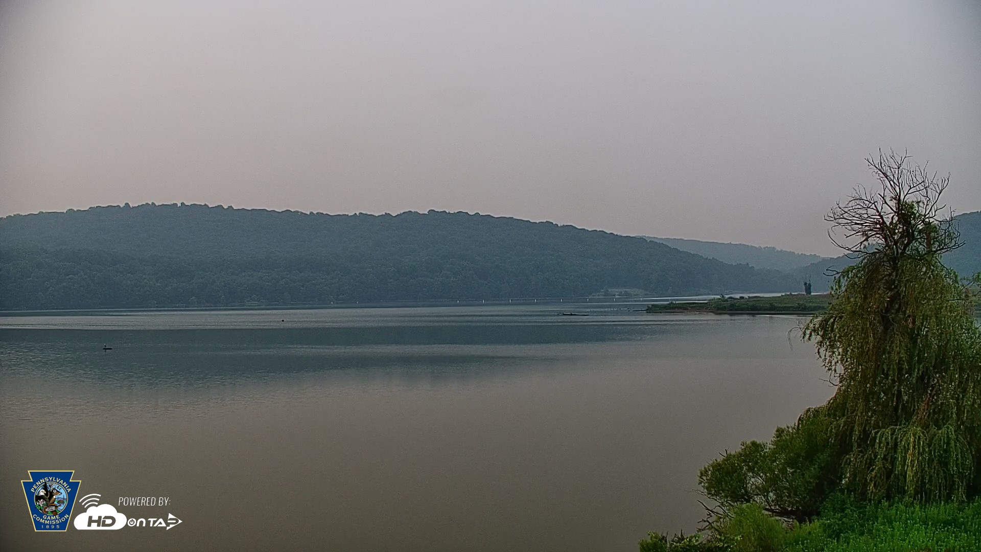 Snapshot of Pennsylvania Snow Geese Live Webcam taken Jul 17, 2026, 6:49am EDT