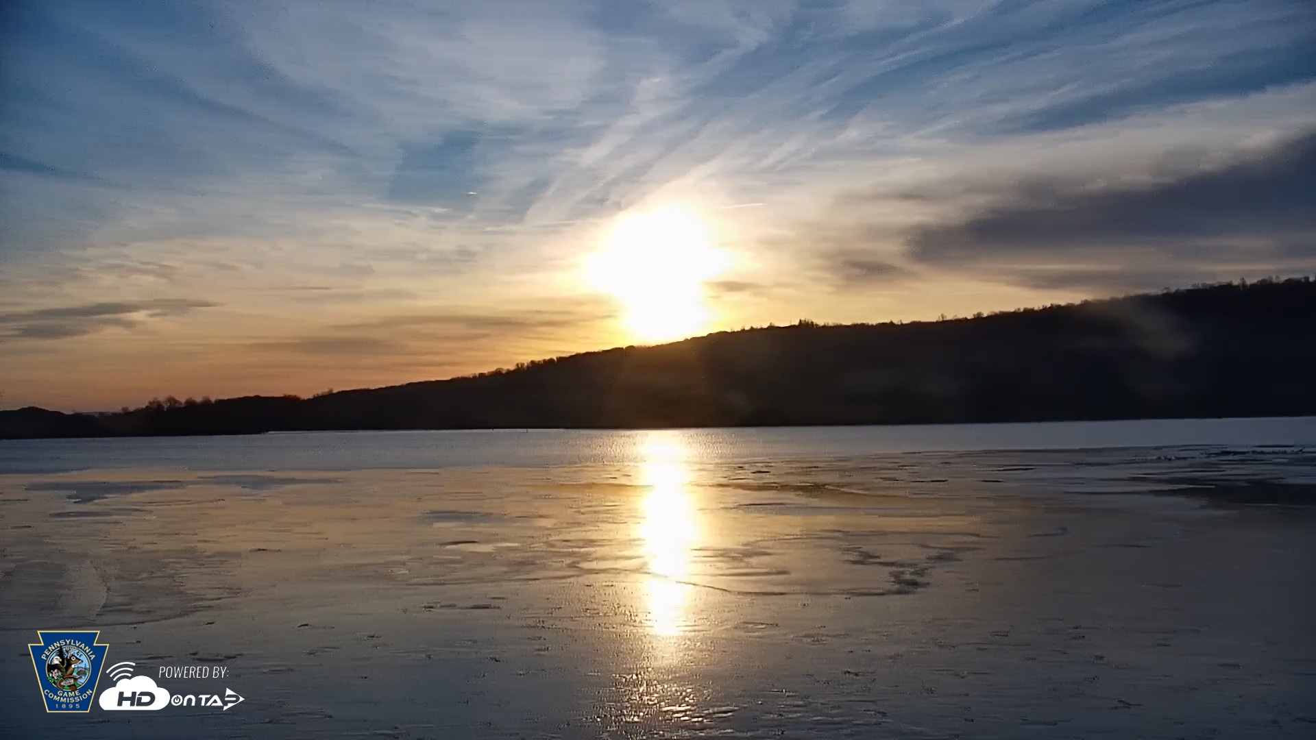 Snapshot of Pennsylvania Snow Geese Live Webcam taken Dec 20, 2025, 8:03am EST