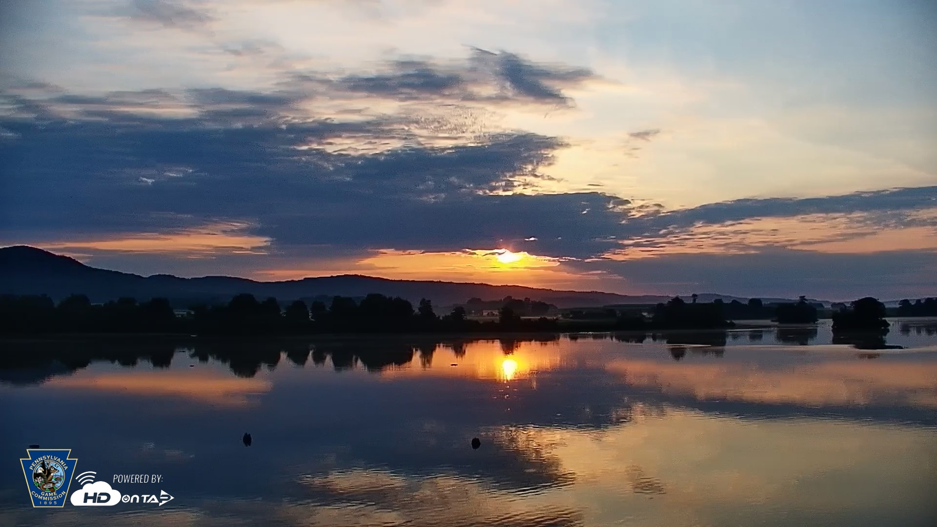 Snapshot of Pennsylvania Snow Geese Live Webcam taken Jul 13, 2026, 6:13am EDT