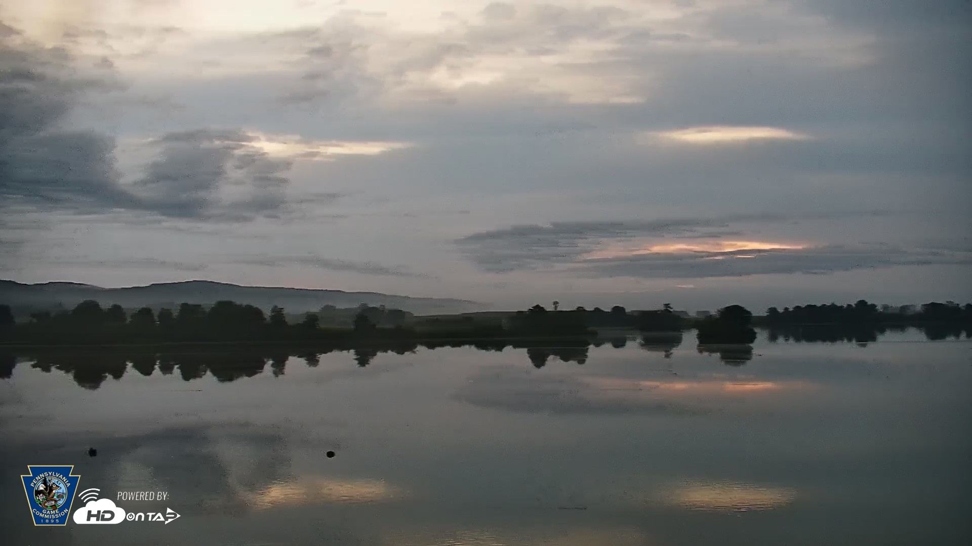 Snapshot of Pennsylvania Snow Geese Live Webcam taken Aug 28, 2026, 6:15am EDT