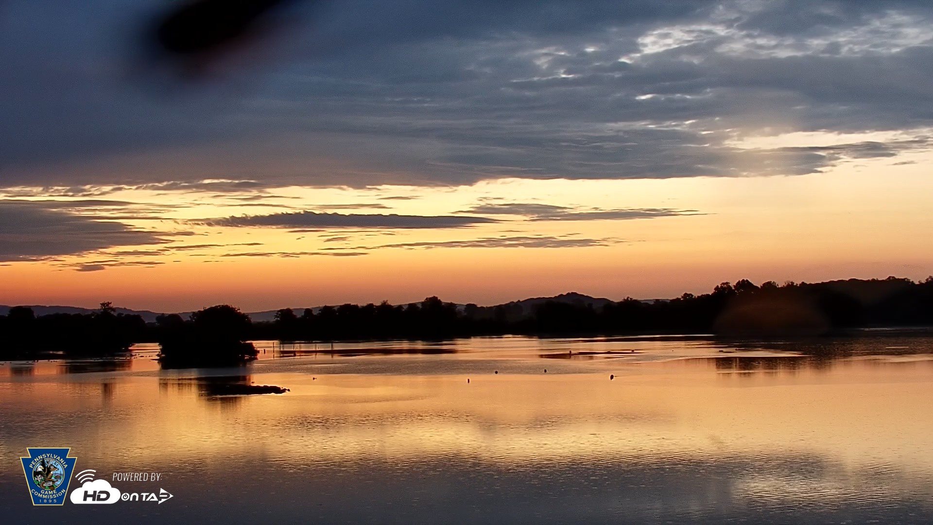 Snapshot of Pennsylvania Snow Geese Live Webcam taken Aug 24, 2026, 6:12am EDT