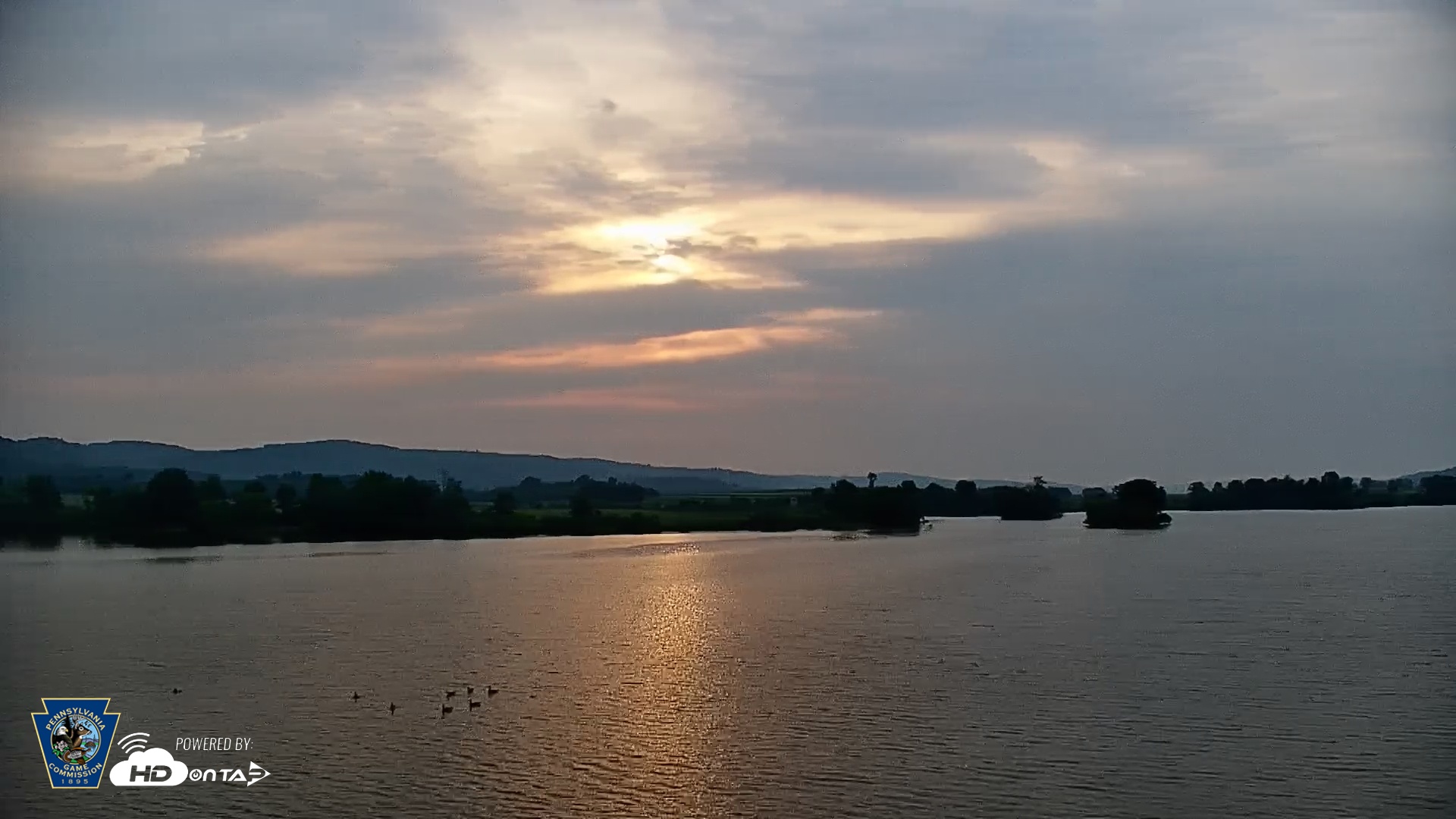 Snapshot of Pennsylvania Snow Geese Live Webcam taken Jun 13, 2025, 6:37am EDT