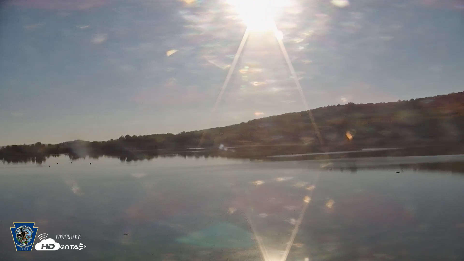 Snapshot of Pennsylvania Snow Geese Live Webcam taken Oct 23, 2026, 9:11am EDT