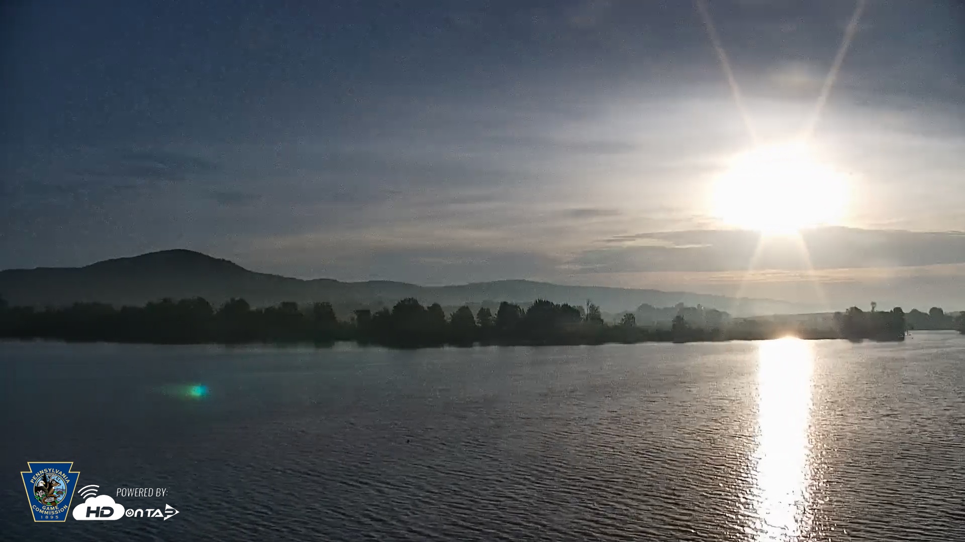 Snapshot of Pennsylvania Snow Geese Live Webcam taken May 17, 2025, 6:32am EDT