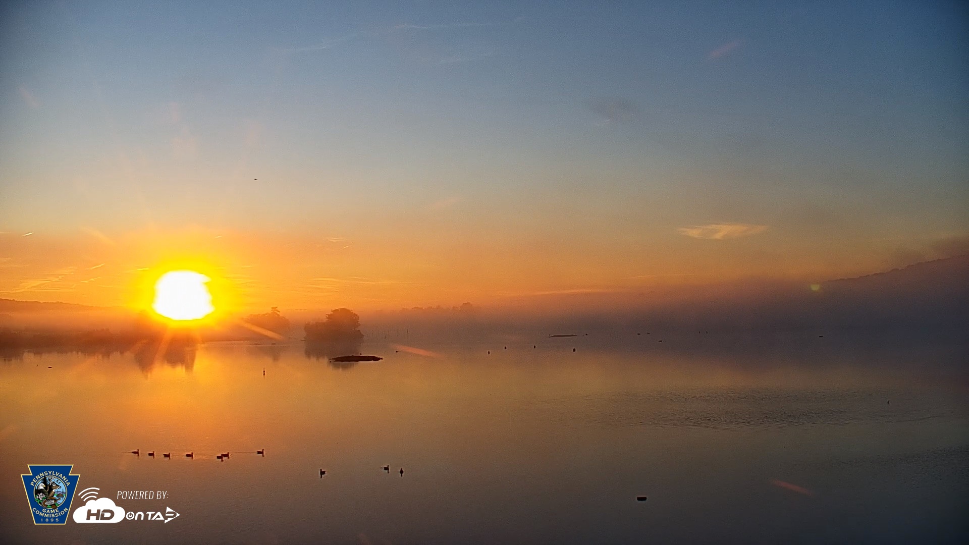 Snapshot of Pennsylvania Snow Geese Live Webcam taken Aug 26, 2026, 6:35am EDT