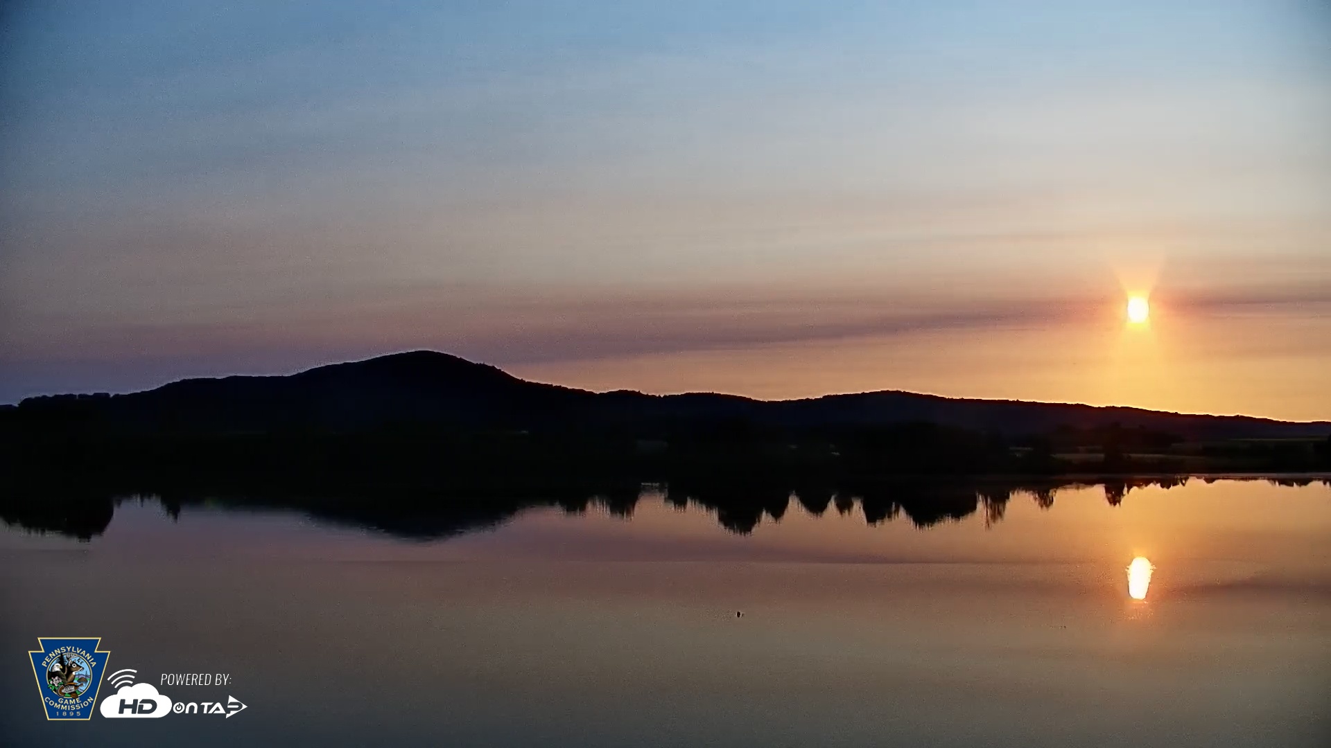 Snapshot of Pennsylvania Snow Geese Live Webcam taken Jun 3, 2025, 6:17am EDT