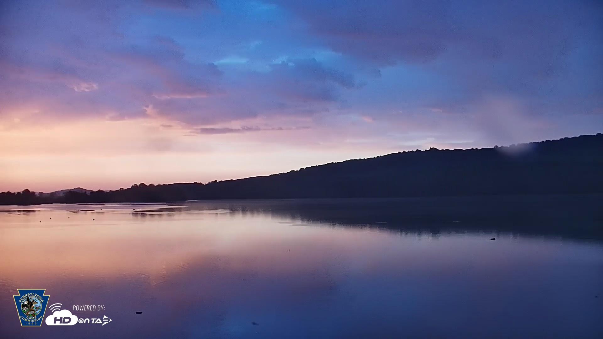 Snapshot of Pennsylvania Snow Geese Live Webcam taken Aug 24, 2026, 6:33am EDT
