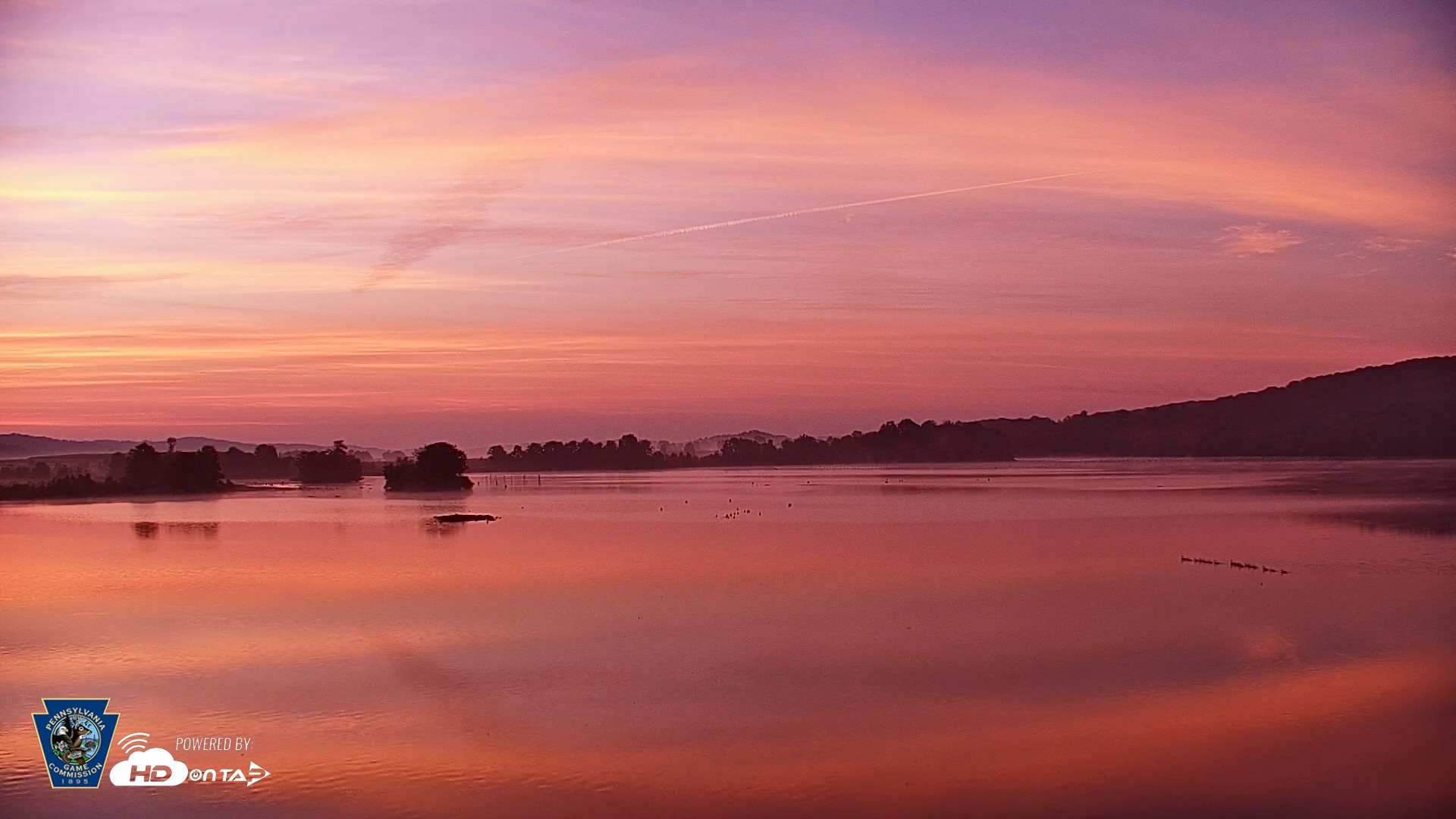 Snapshot of Pennsylvania Snow Geese Live Webcam taken Aug 1, 2026, 5:58am EDT