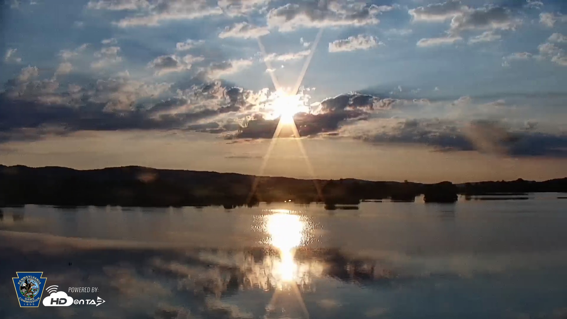 Snapshot of Pennsylvania Snow Geese Live Webcam taken Jul 22, 2025, 6:45am EDT