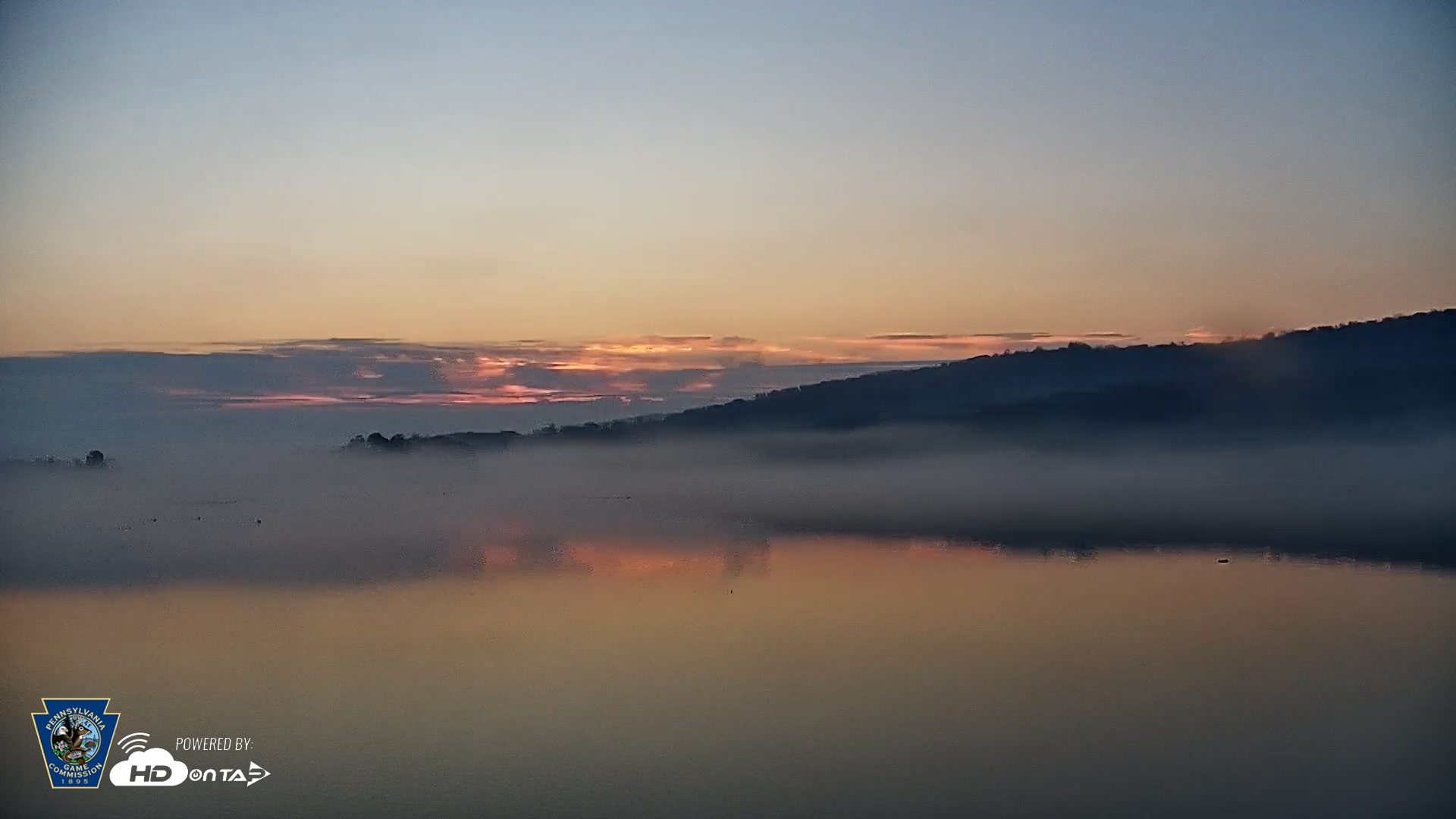 Snapshot of Pennsylvania Snow Geese Live Webcam taken Nov 8, 2025, 6:45am EST