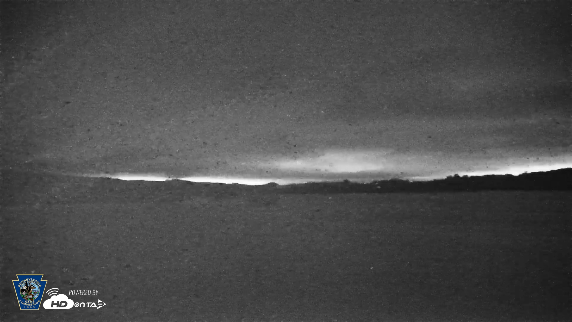 Snapshot of Pennsylvania Snow Geese Live Webcam taken Jul 6, 2026, 10:04pm EDT