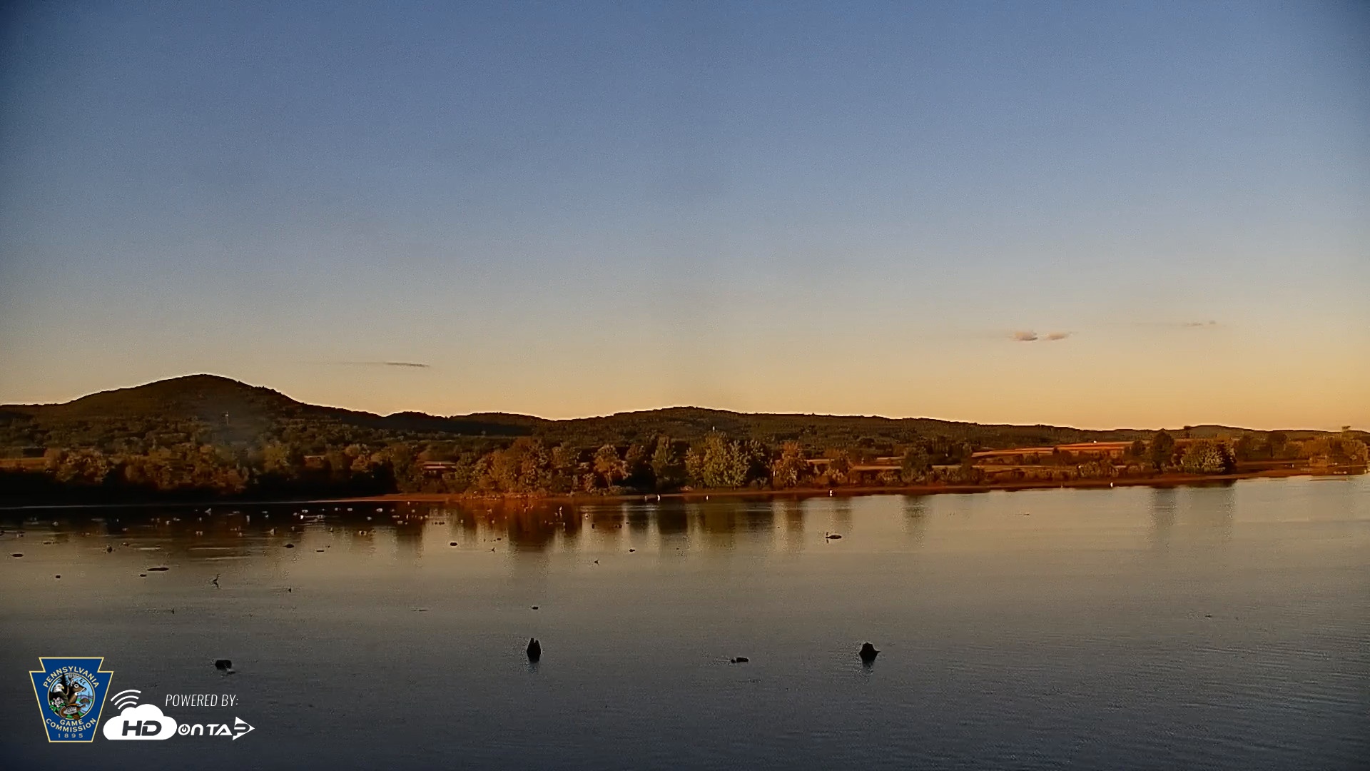 Snapshot of Pennsylvania Snow Geese Live Webcam taken Sep 18, 2026, 6:41pm EDT