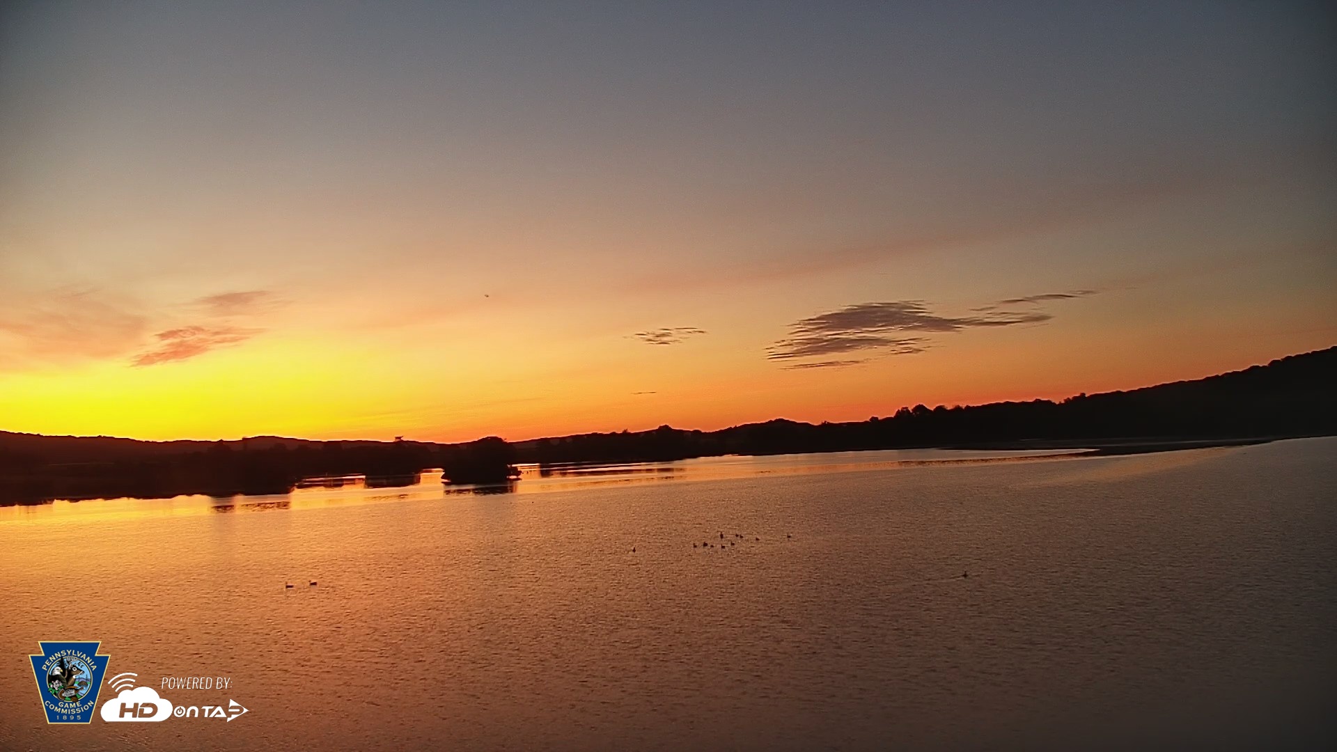 Snapshot of Pennsylvania Snow Geese Live Webcam taken Jun 3, 2026, 5:15am EDT