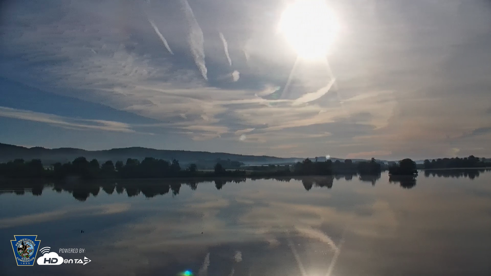 Snapshot of Pennsylvania Snow Geese Live Webcam taken May 26, 2026, 7:17am EDT