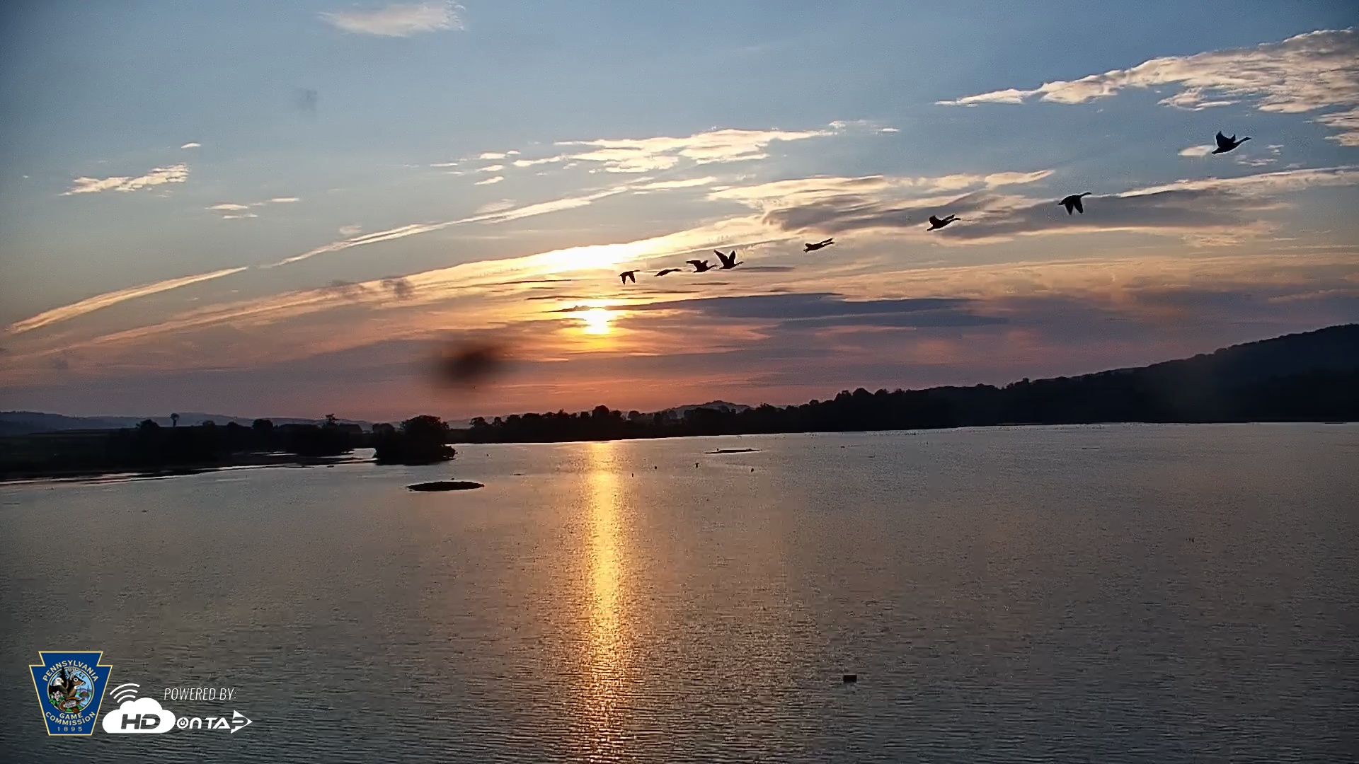 Snapshot of Pennsylvania Snow Geese Live Webcam taken Sep 23, 2025, 7:21am EDT