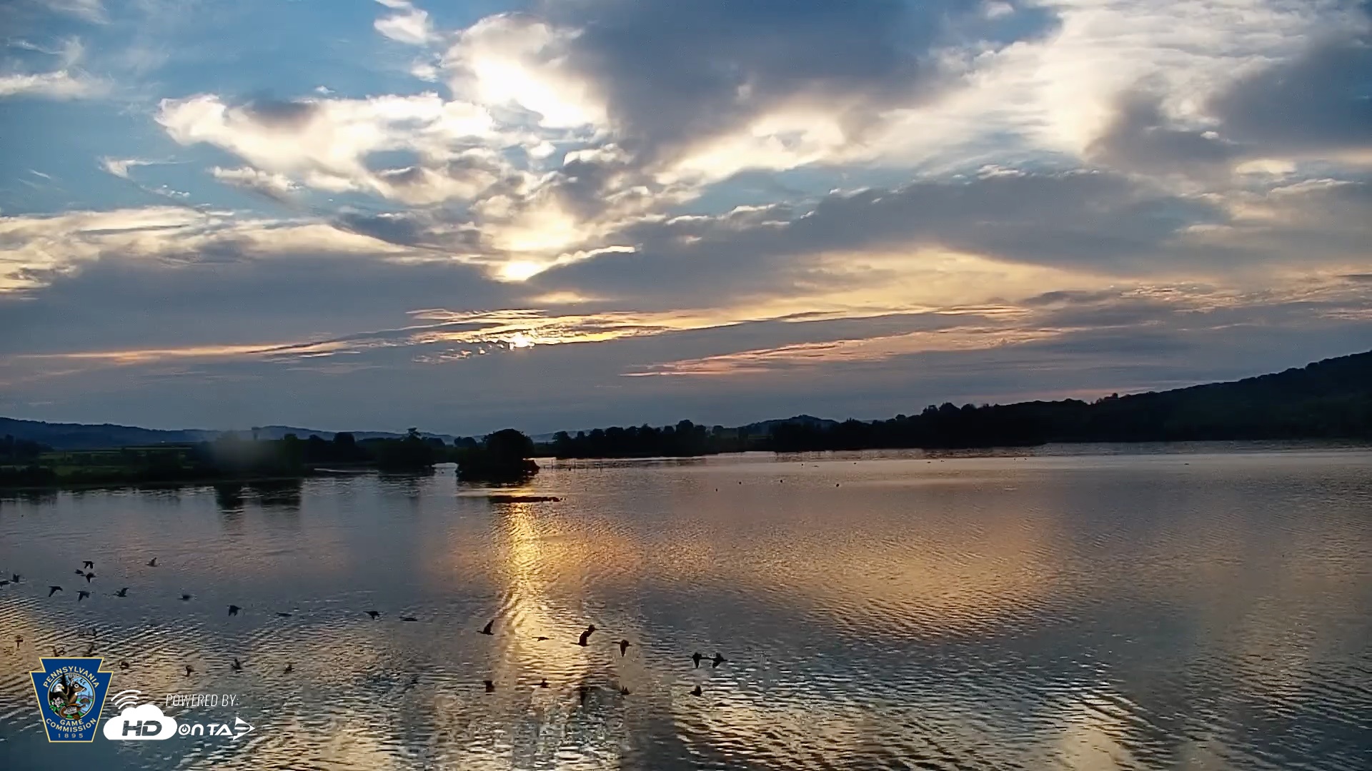 Snapshot of Pennsylvania Snow Geese Live Webcam taken Sep 10, 2026, 7:07am EDT