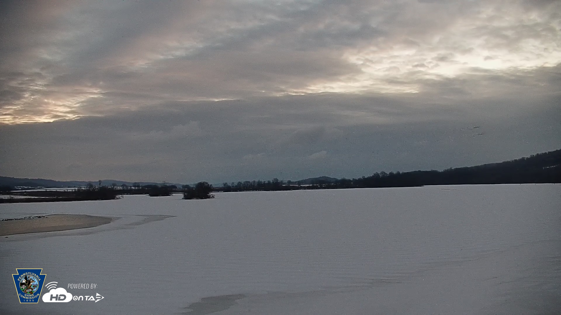 Snapshot of Pennsylvania Snow Geese Live Webcam taken Jan 26, 2026, 6:53am EST