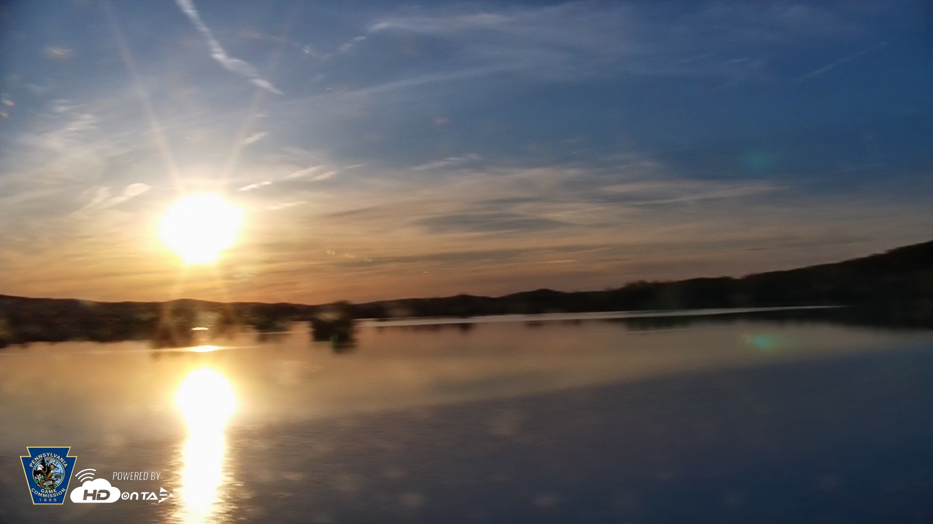Snapshot of Pennsylvania Snow Geese Live Webcam taken Apr 23, 2025, 6:47am EDT