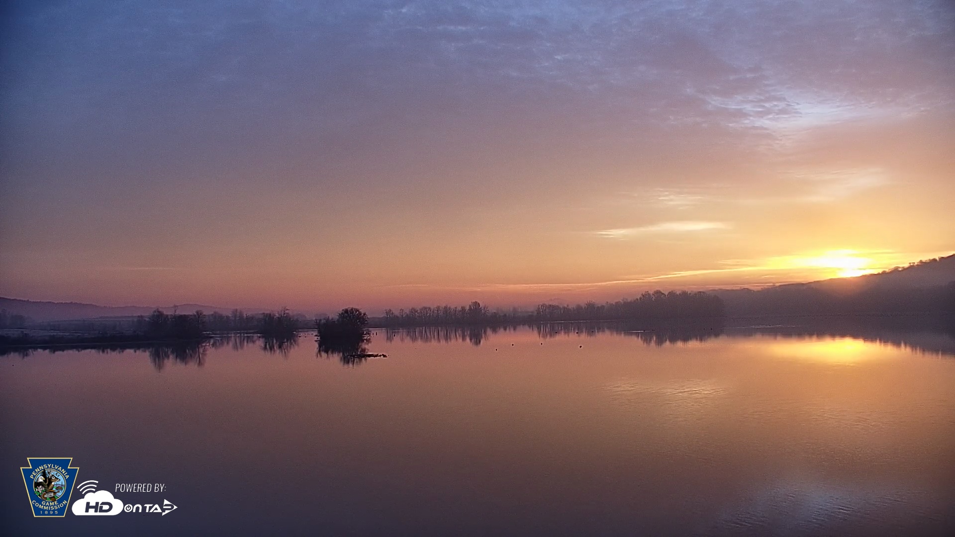 Snapshot of Pennsylvania Snow Geese Live Webcam taken Nov 20, 2025, 7:05am EST