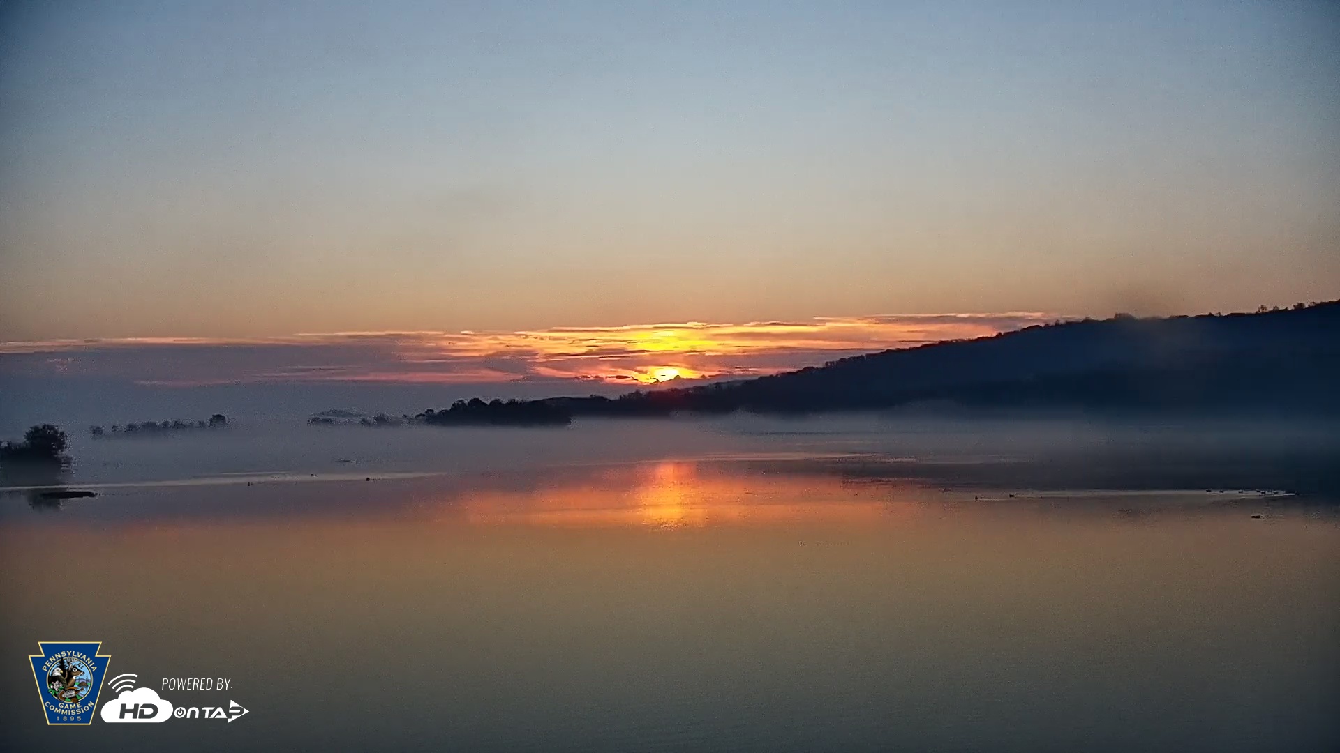 Snapshot of Pennsylvania Snow Geese Live Webcam taken Nov 8, 2025, 6:55am EST