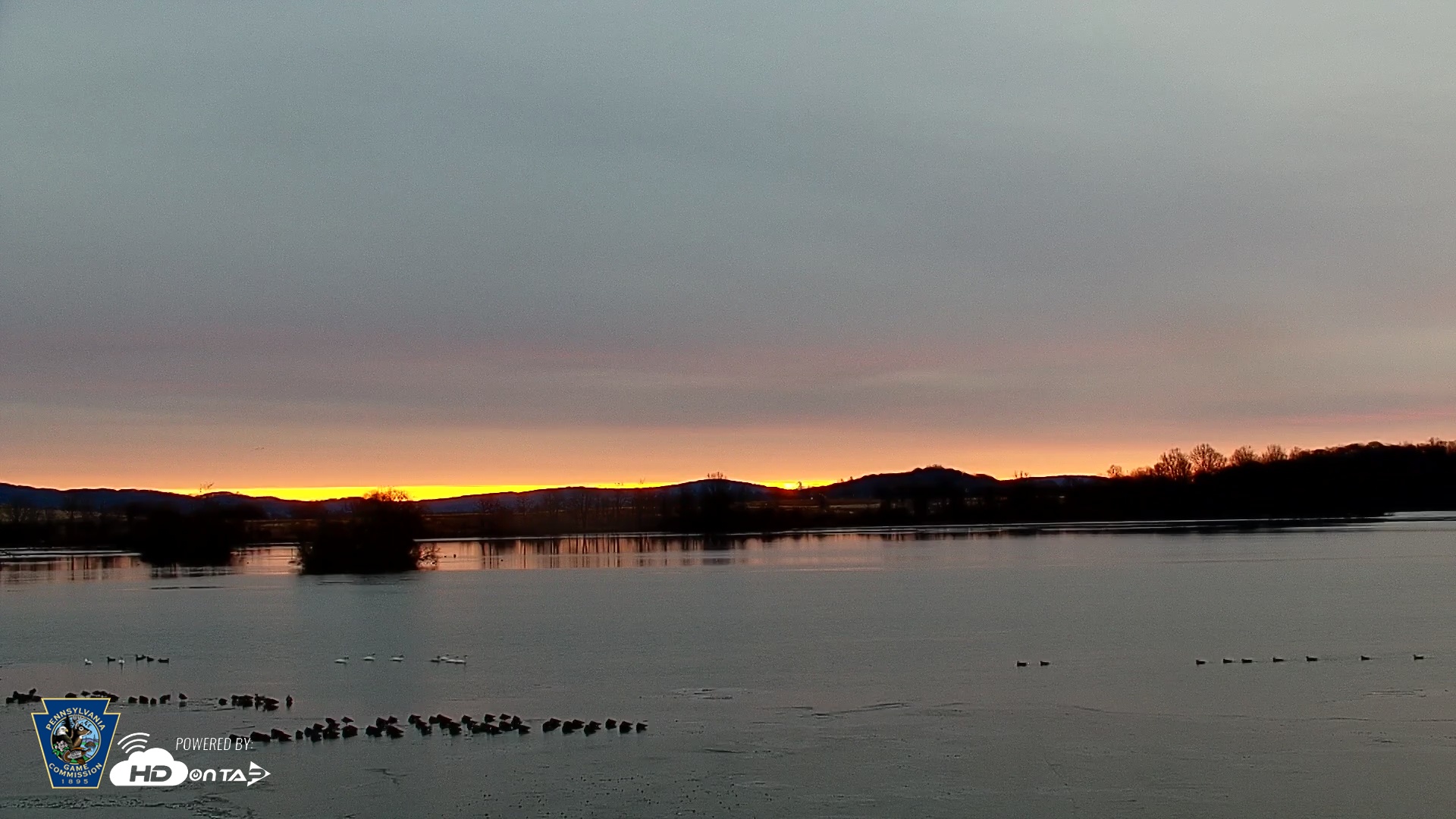 Snapshot of Pennsylvania Snow Geese Live Webcam taken Dec 26, 2025, 7:32am EST