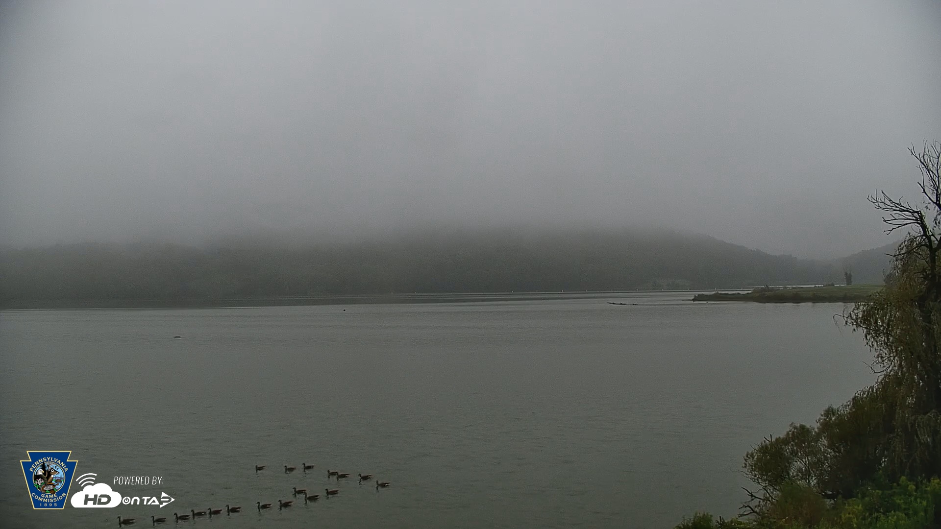 Snapshot of Pennsylvania Snow Geese Live Webcam taken Sep 2, 2026, 6:45am EDT