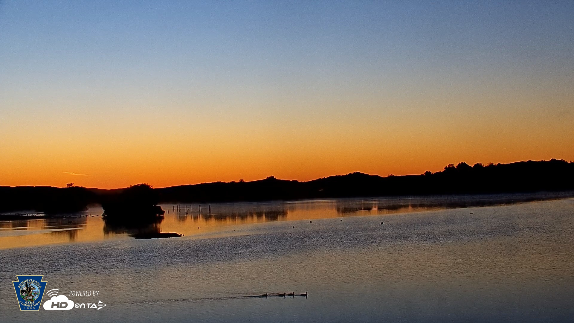 Snapshot of Pennsylvania Snow Geese Live Webcam taken Sep 15, 2026, 6:40am EDT
