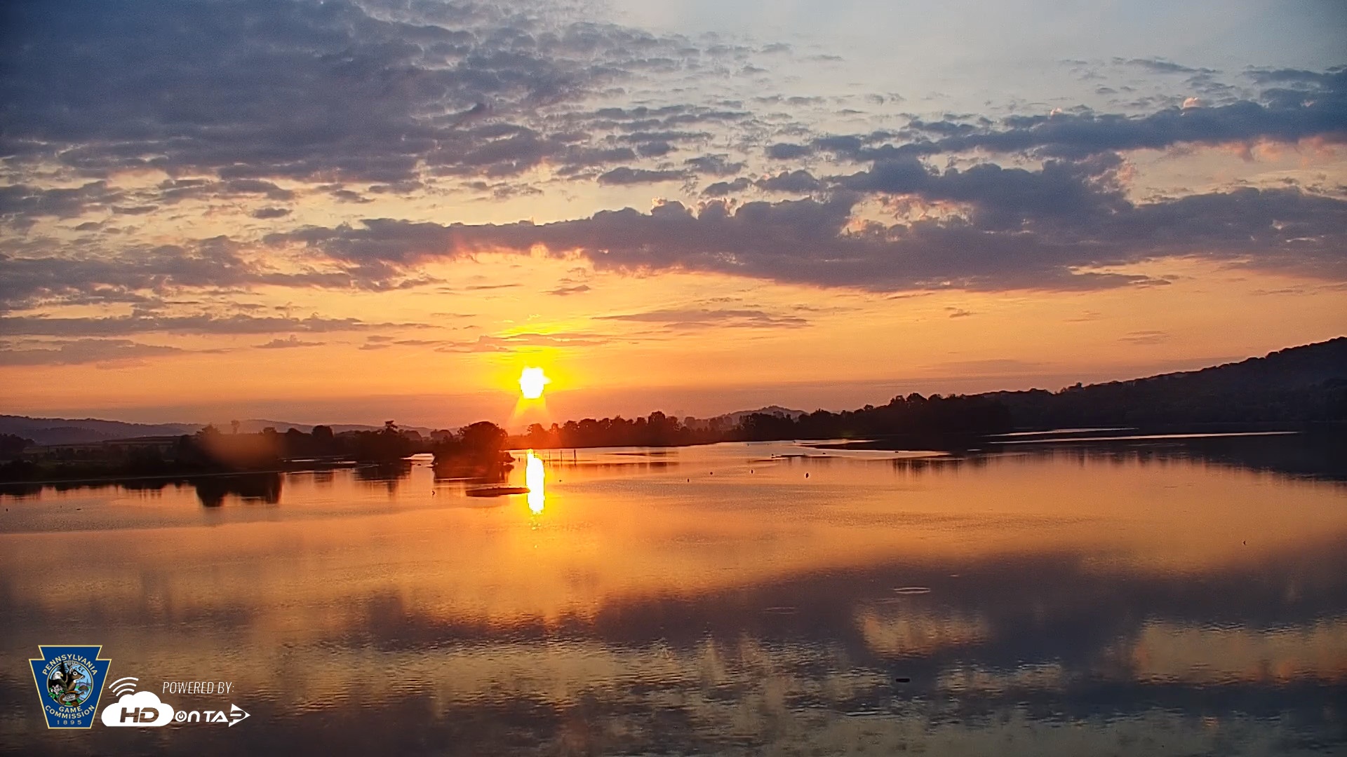 Snapshot of Pennsylvania Snow Geese Live Webcam taken Sep 17, 2026, 7:02am EDT