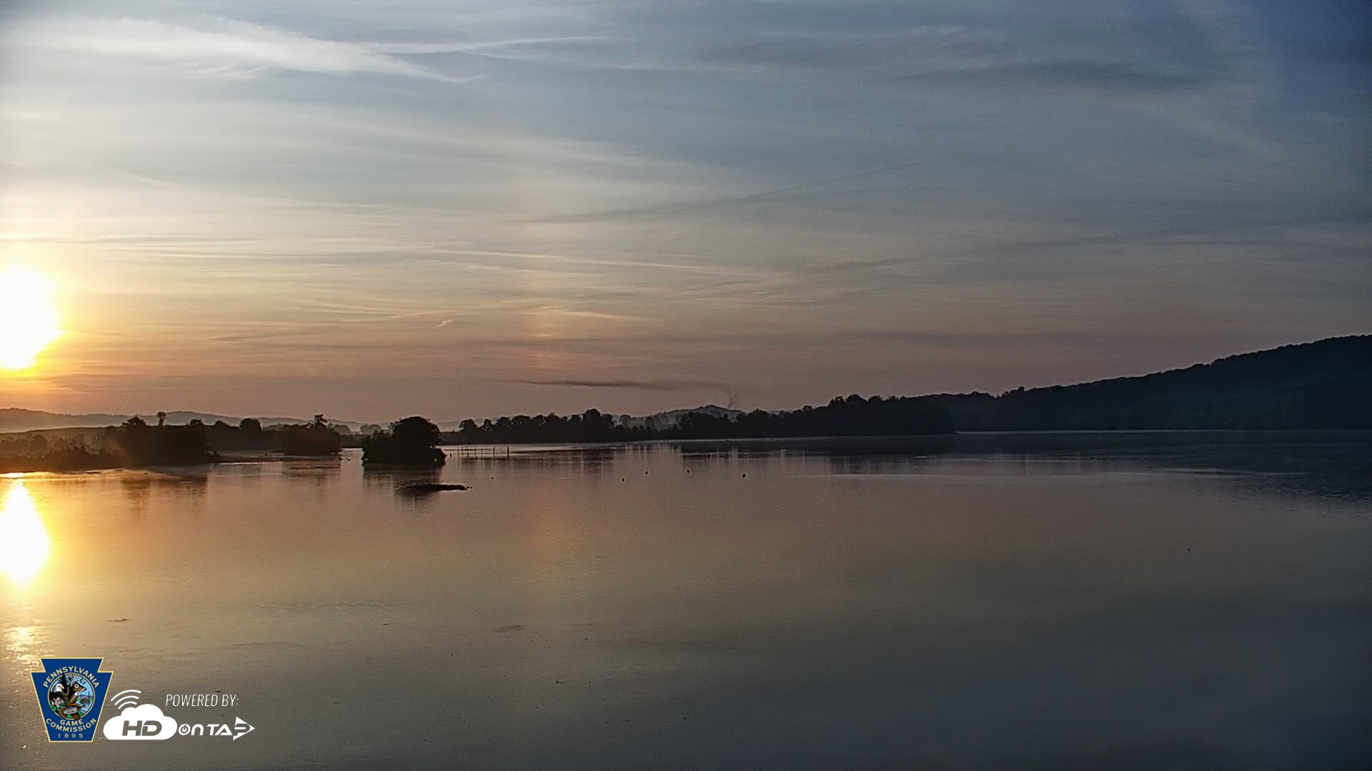 Snapshot of Pennsylvania Snow Geese Live Webcam taken Aug 1, 2026, 6:30am EDT