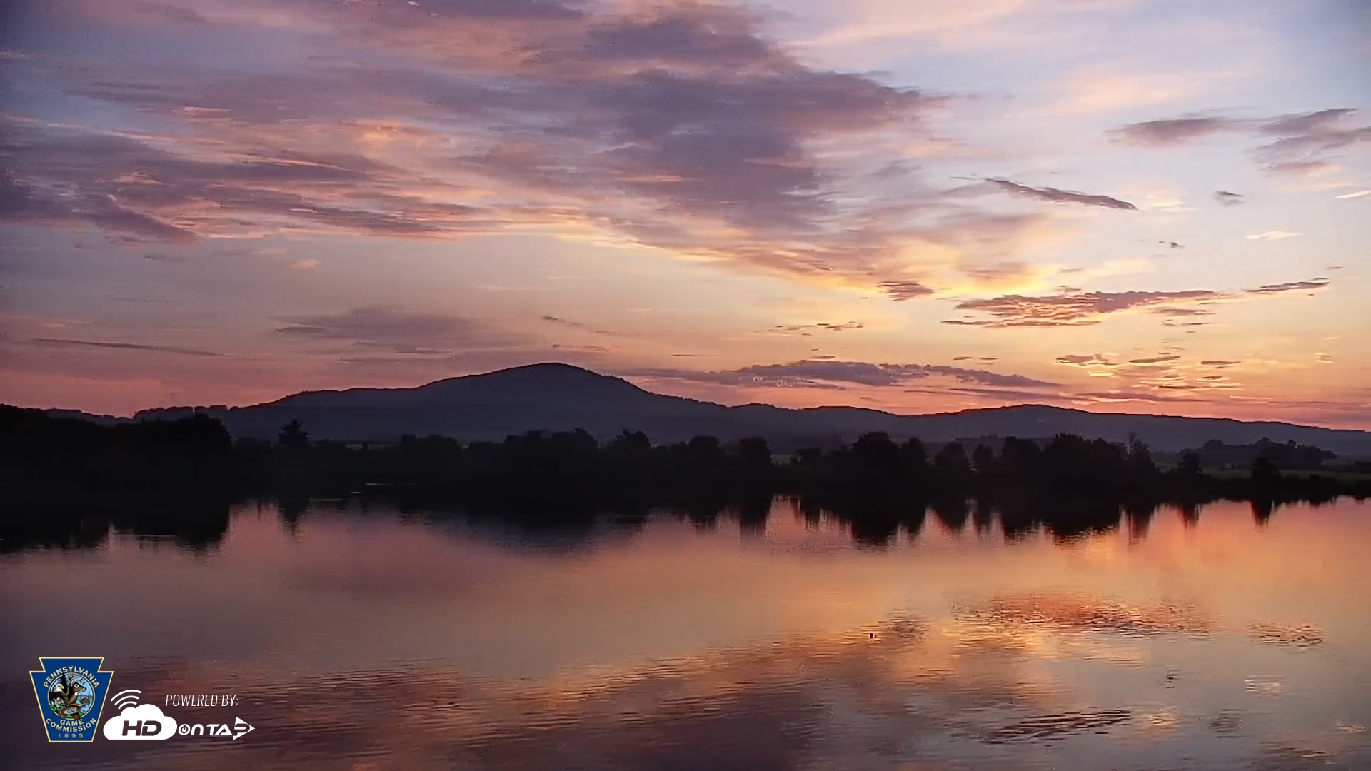 Snapshot of Pennsylvania Snow Geese Live Webcam taken Jun 29, 2025, 5:39am EDT