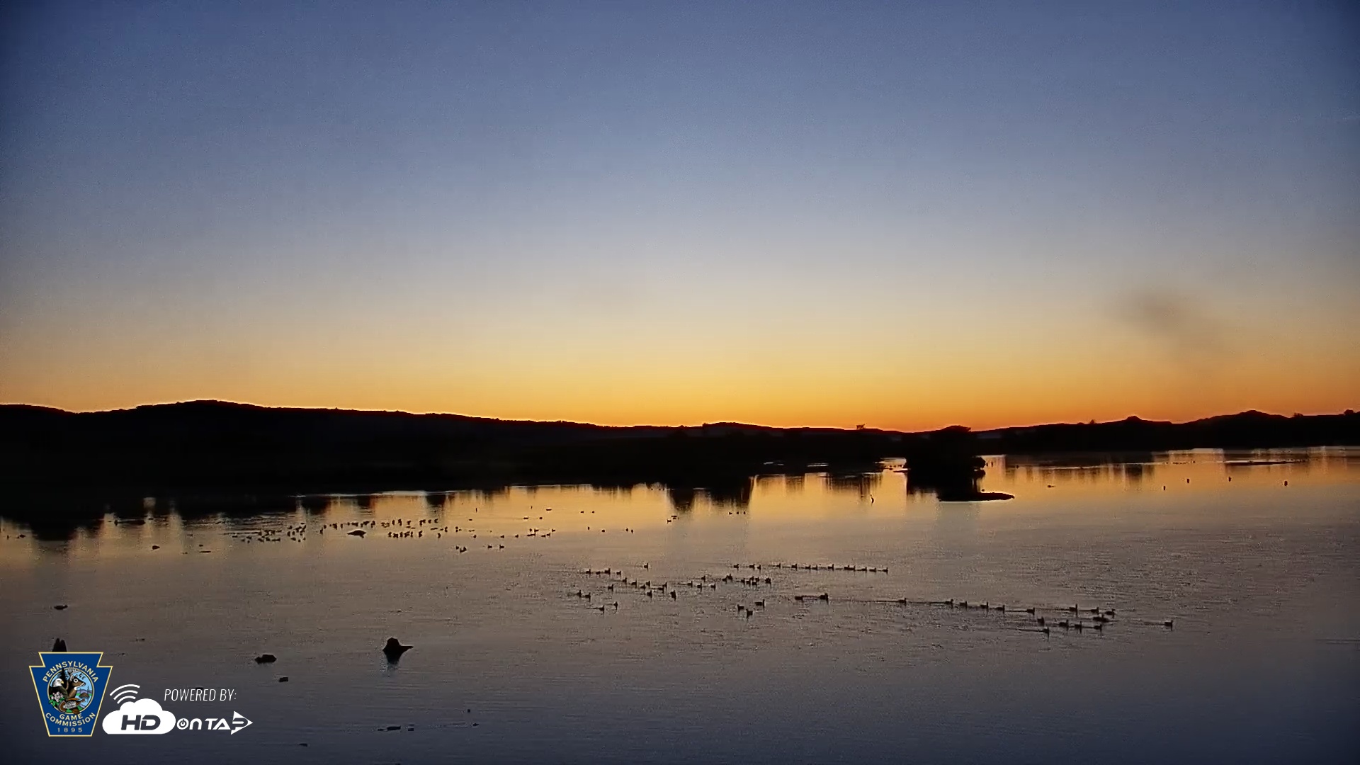 Snapshot of Pennsylvania Snow Geese Live Webcam taken Aug 31, 2025, 6:24am EDT