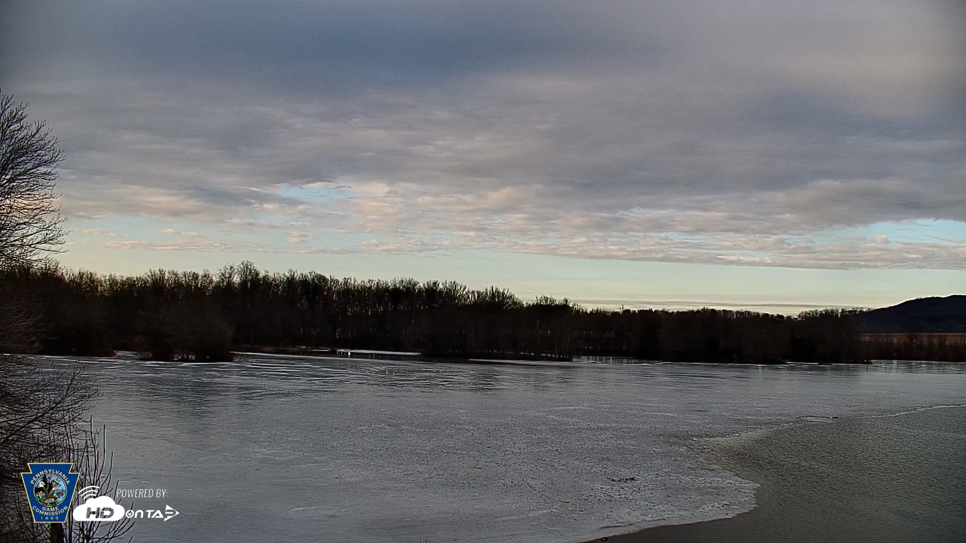 Snapshot of Pennsylvania Snow Geese Live Webcam taken Mar 2, 2026, 4:53pm EST