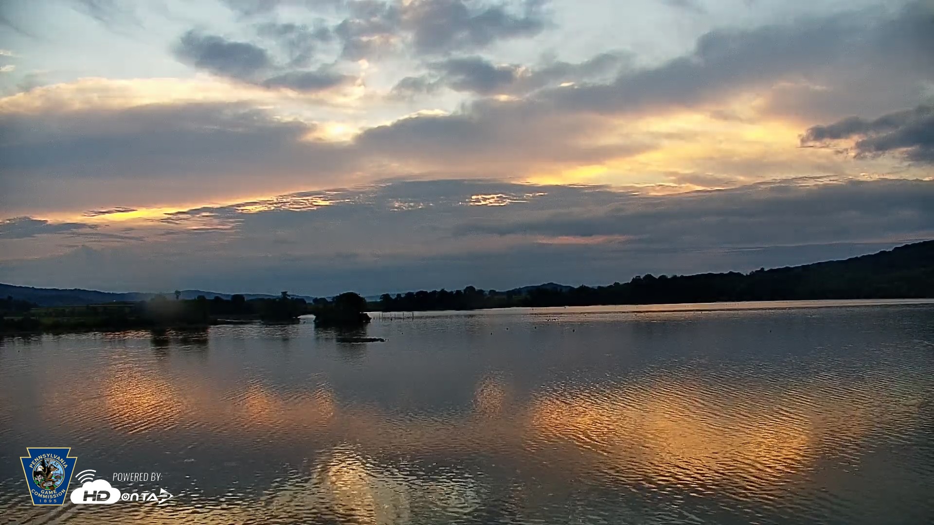 Snapshot of Pennsylvania Snow Geese Live Webcam taken Sep 10, 2026, 6:51am EDT