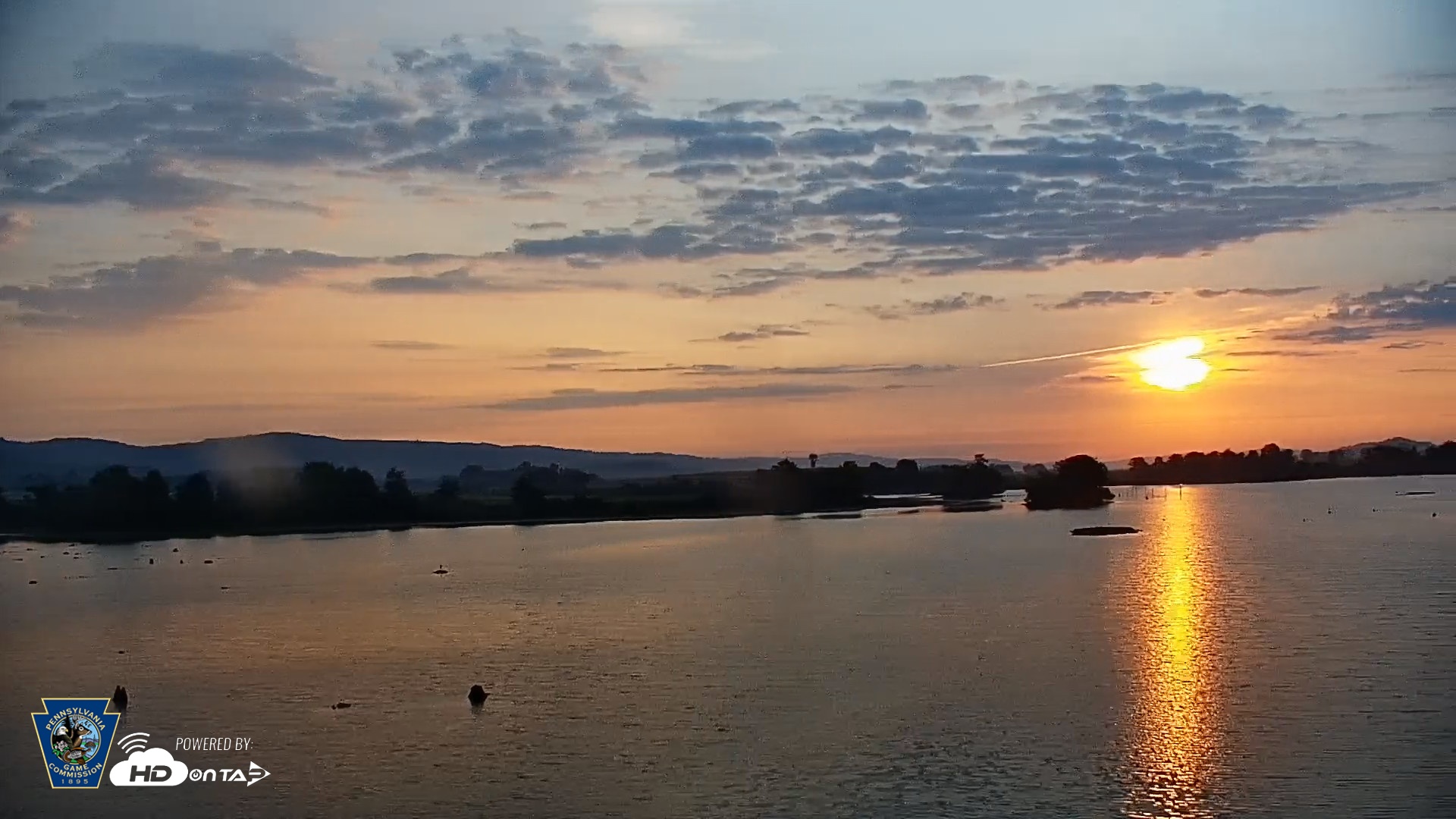 Snapshot of Pennsylvania Snow Geese Live Webcam taken Sep 17, 2026, 7:12am EDT