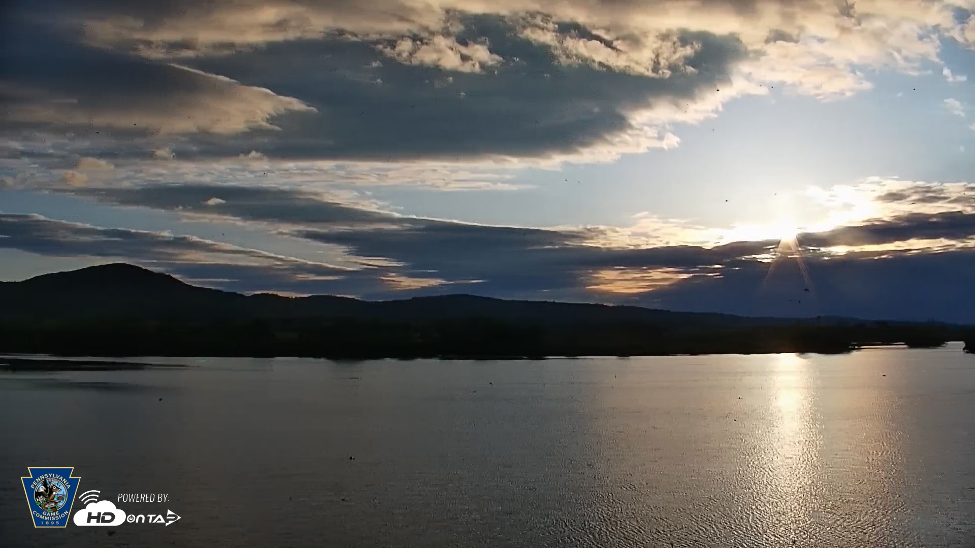 Snapshot of Pennsylvania Snow Geese Live Webcam taken May 3, 2026, 6:38am EDT