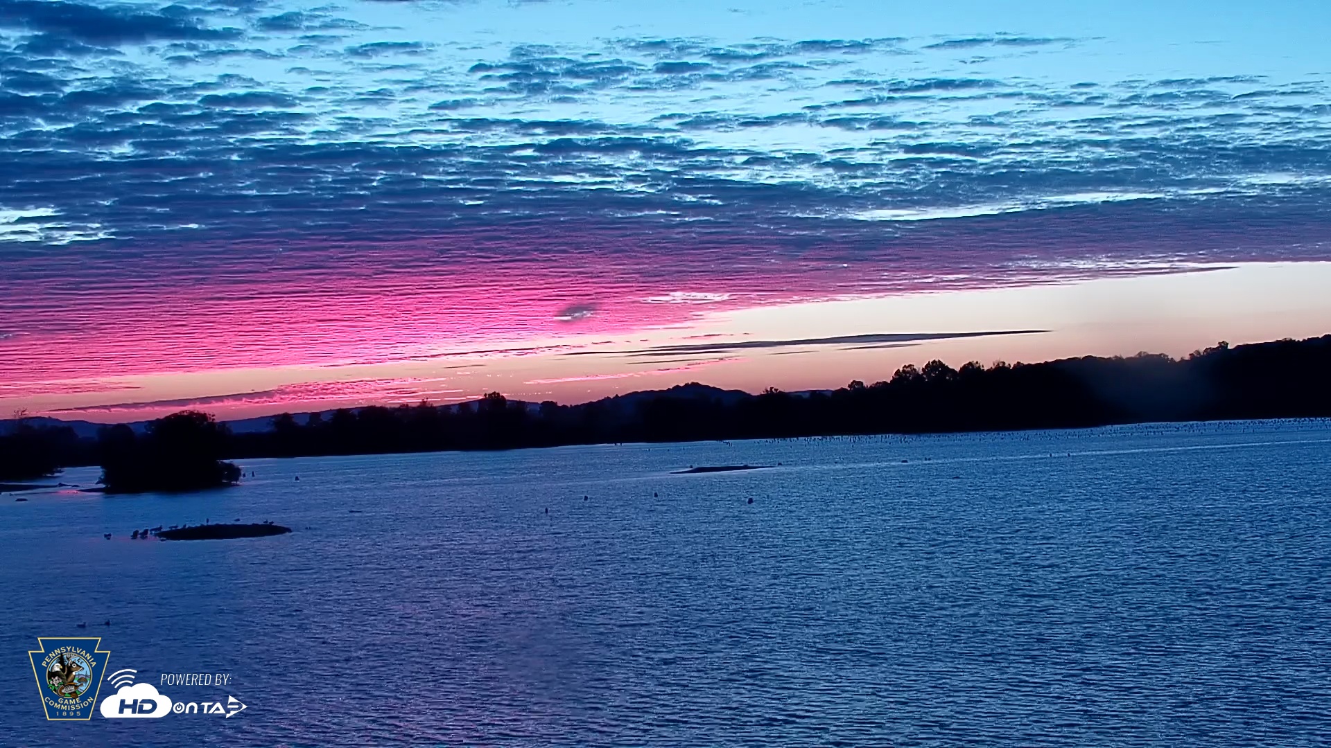 Snapshot of Pennsylvania Snow Geese Live Webcam taken Oct 7, 2025, 6:50am EDT