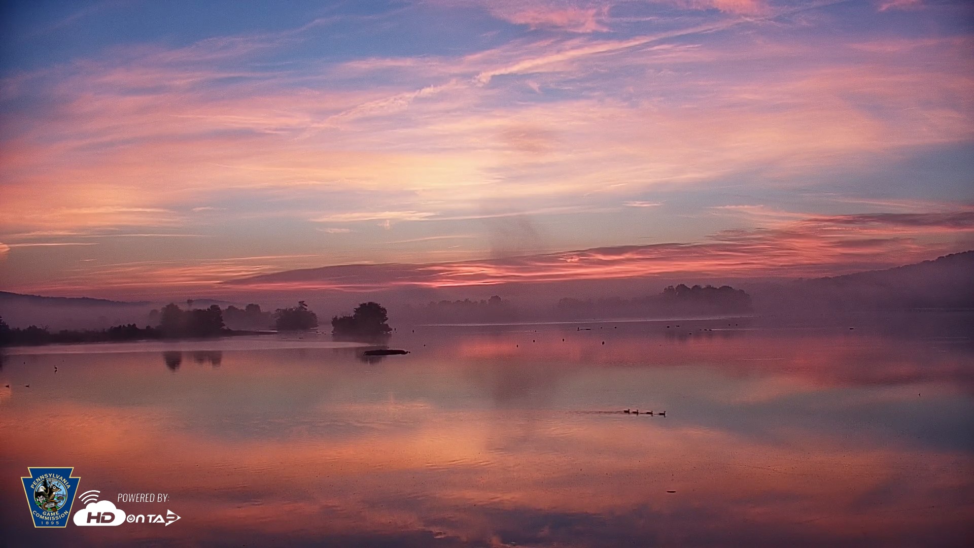 Snapshot of Pennsylvania Snow Geese Live Webcam taken Oct 2, 2026, 6:50am EDT