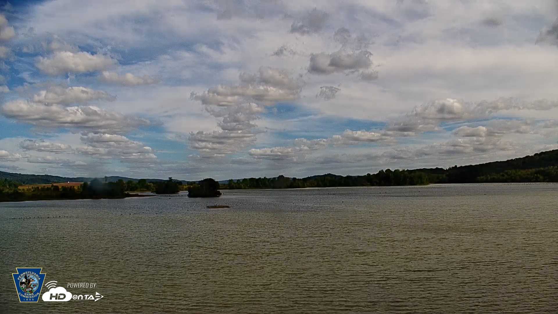 Snapshot of Pennsylvania Snow Geese Live Webcam taken Sep 23, 2026, 2:17pm EDT