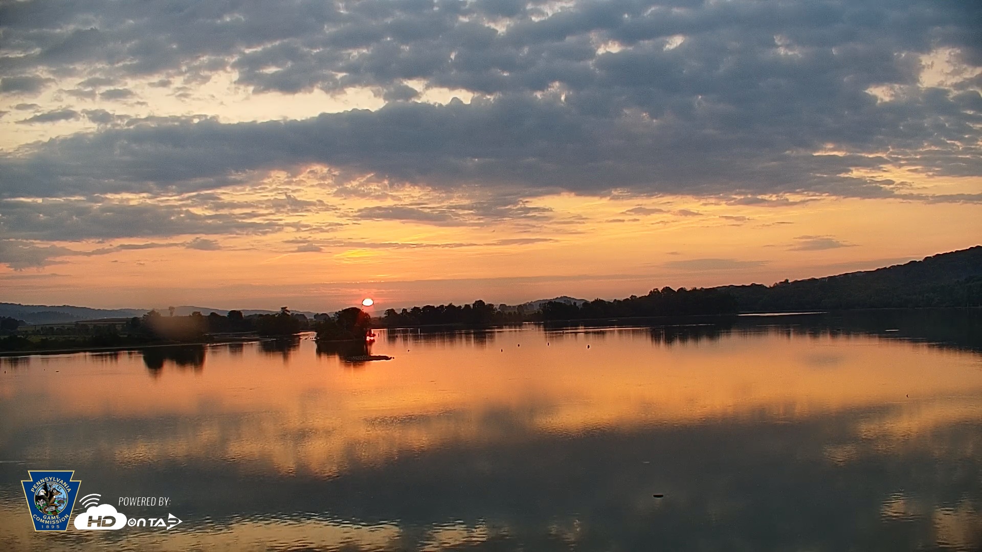 Snapshot of Pennsylvania Snow Geese Live Webcam taken Sep 17, 2026, 6:54am EDT