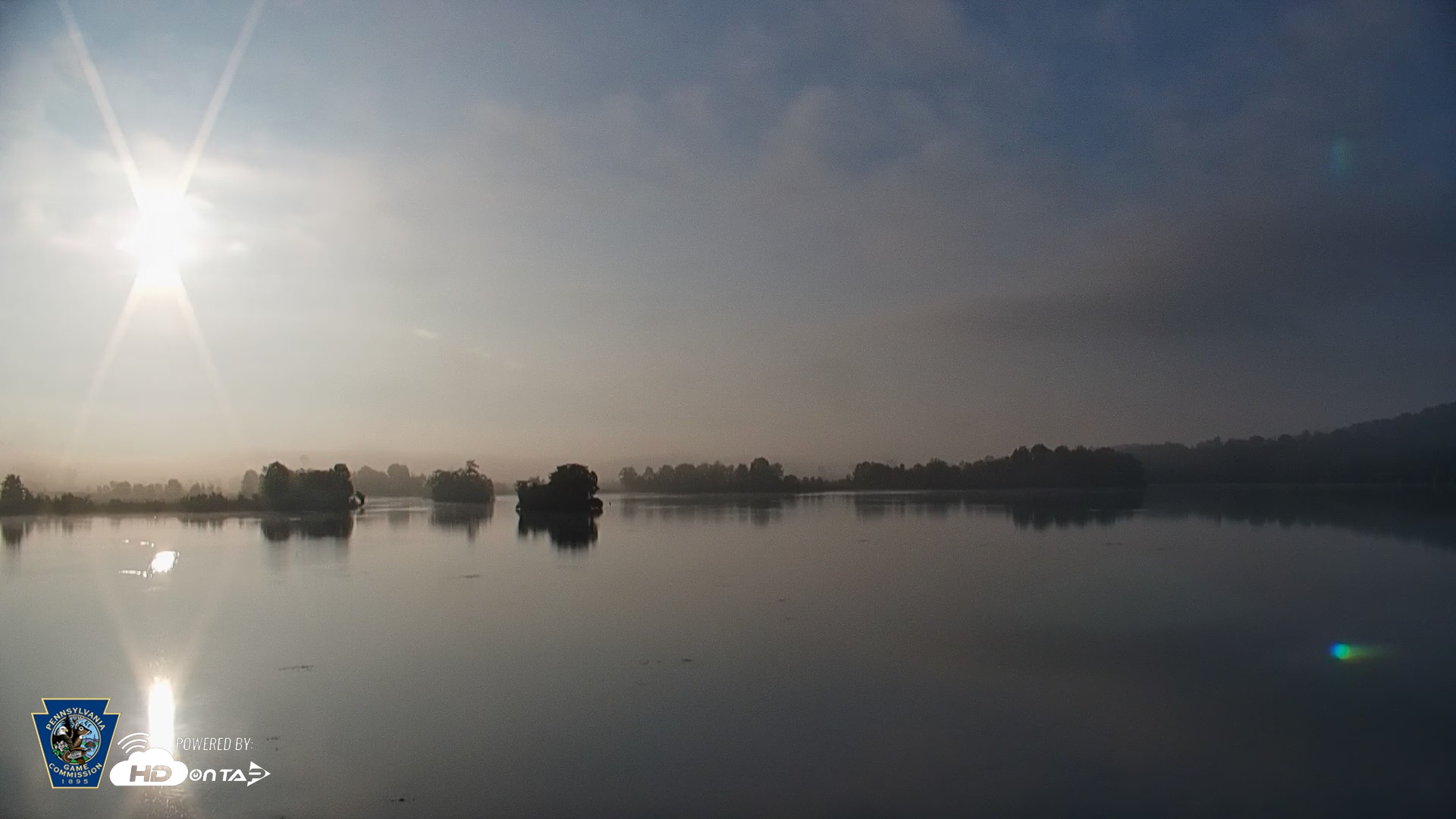 Snapshot of Pennsylvania Snow Geese Live Webcam taken Jul 16, 2025, 6:47am EDT