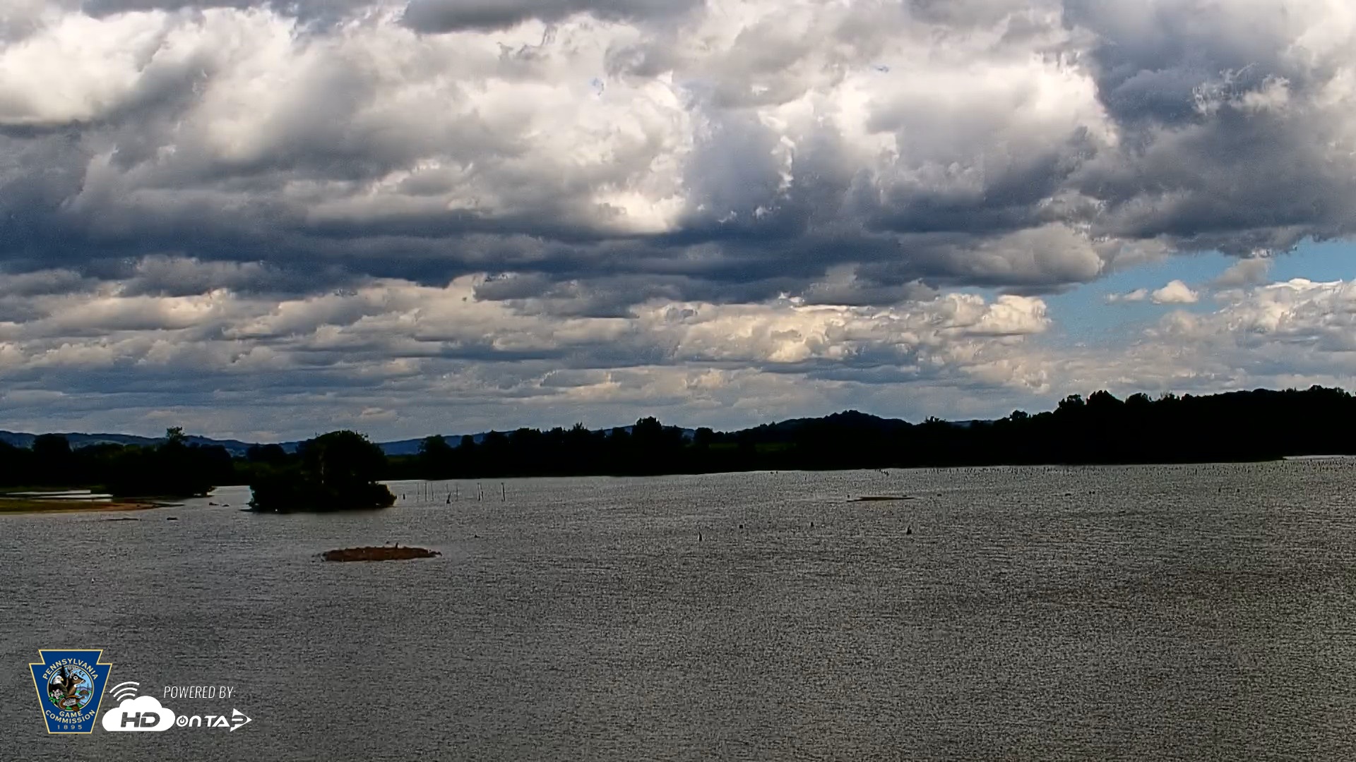 Snapshot of Pennsylvania Snow Geese Live Webcam taken Aug 25, 2026, 12:42pm EDT