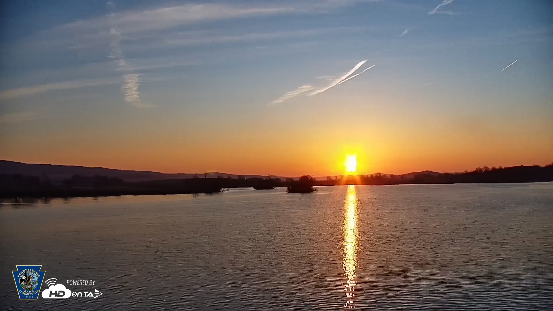 Snapshot of Pennsylvania Snow Geese Live Webcam taken Mar 20, 2026, 7:20am EDT