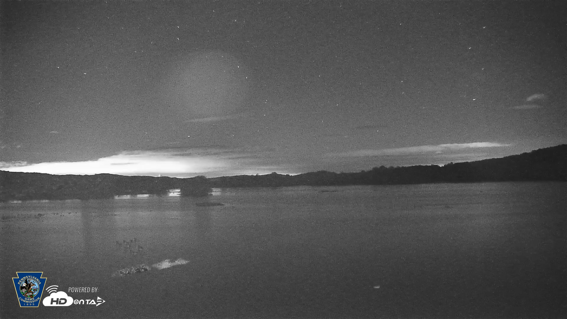 Snapshot of Pennsylvania Snow Geese Live Webcam taken Oct 14, 2025, 10:58pm EDT