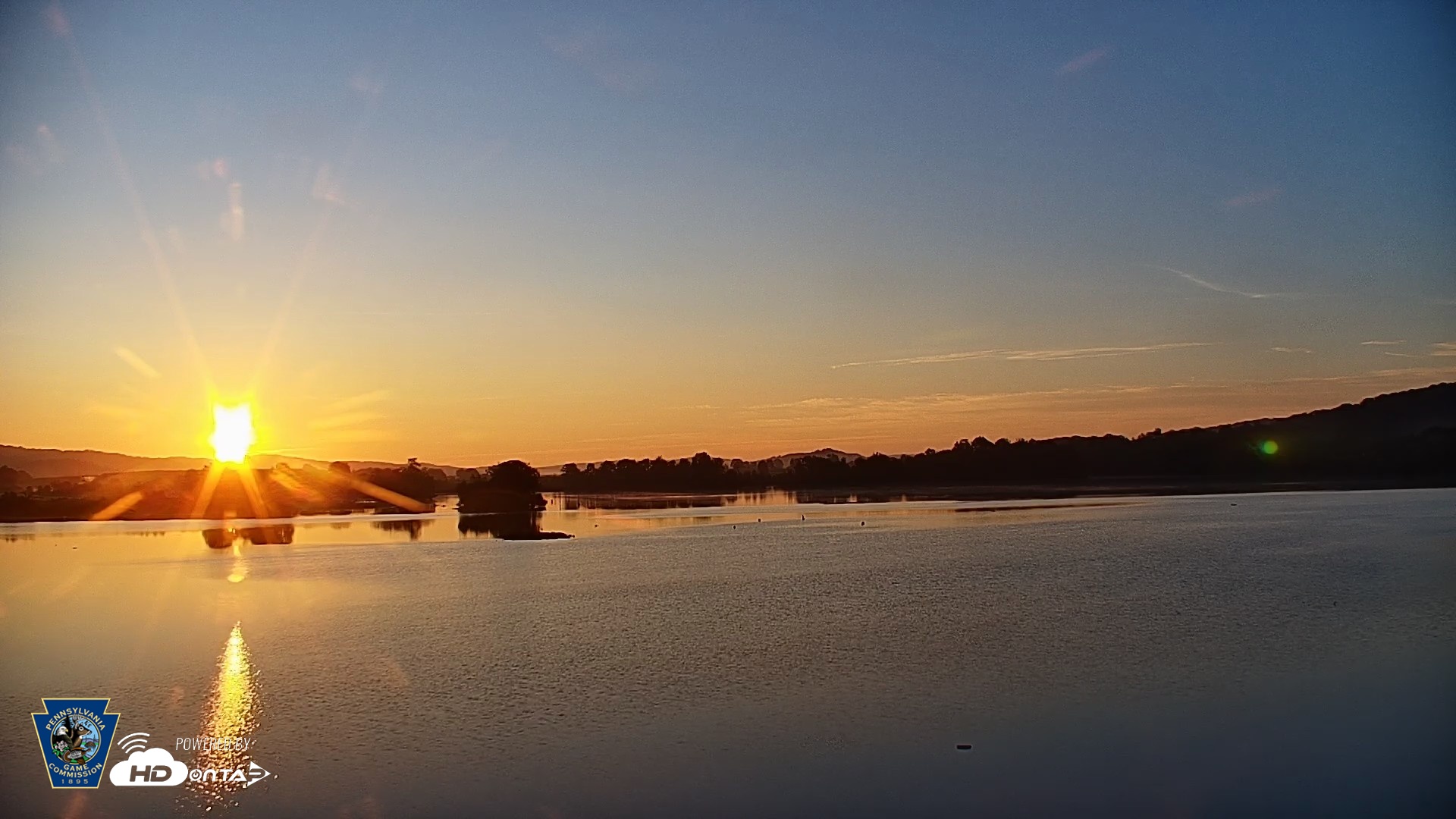 Snapshot of Pennsylvania Snow Geese Live Webcam taken Aug 21, 2026, 6:34am EDT