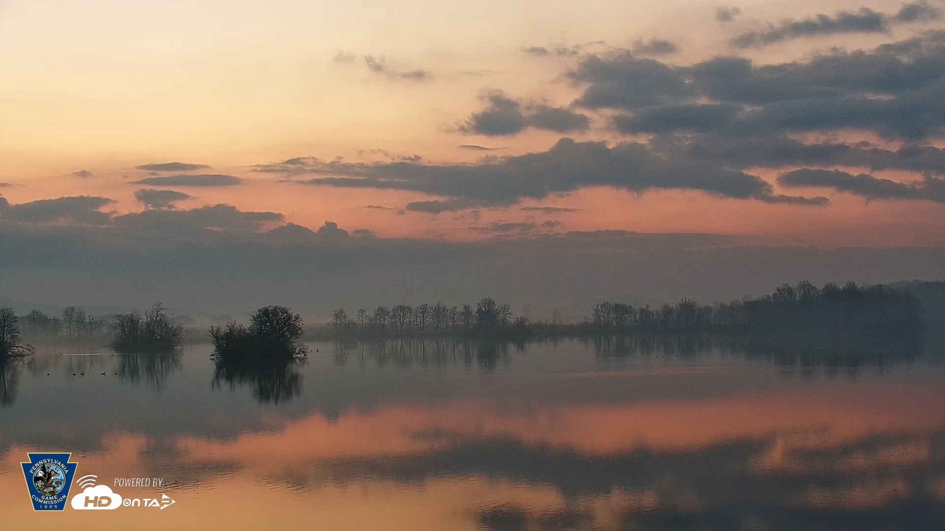 Snapshot of Pennsylvania Snow Geese Live Webcam taken Mar 21, 2026, 6:56am EDT