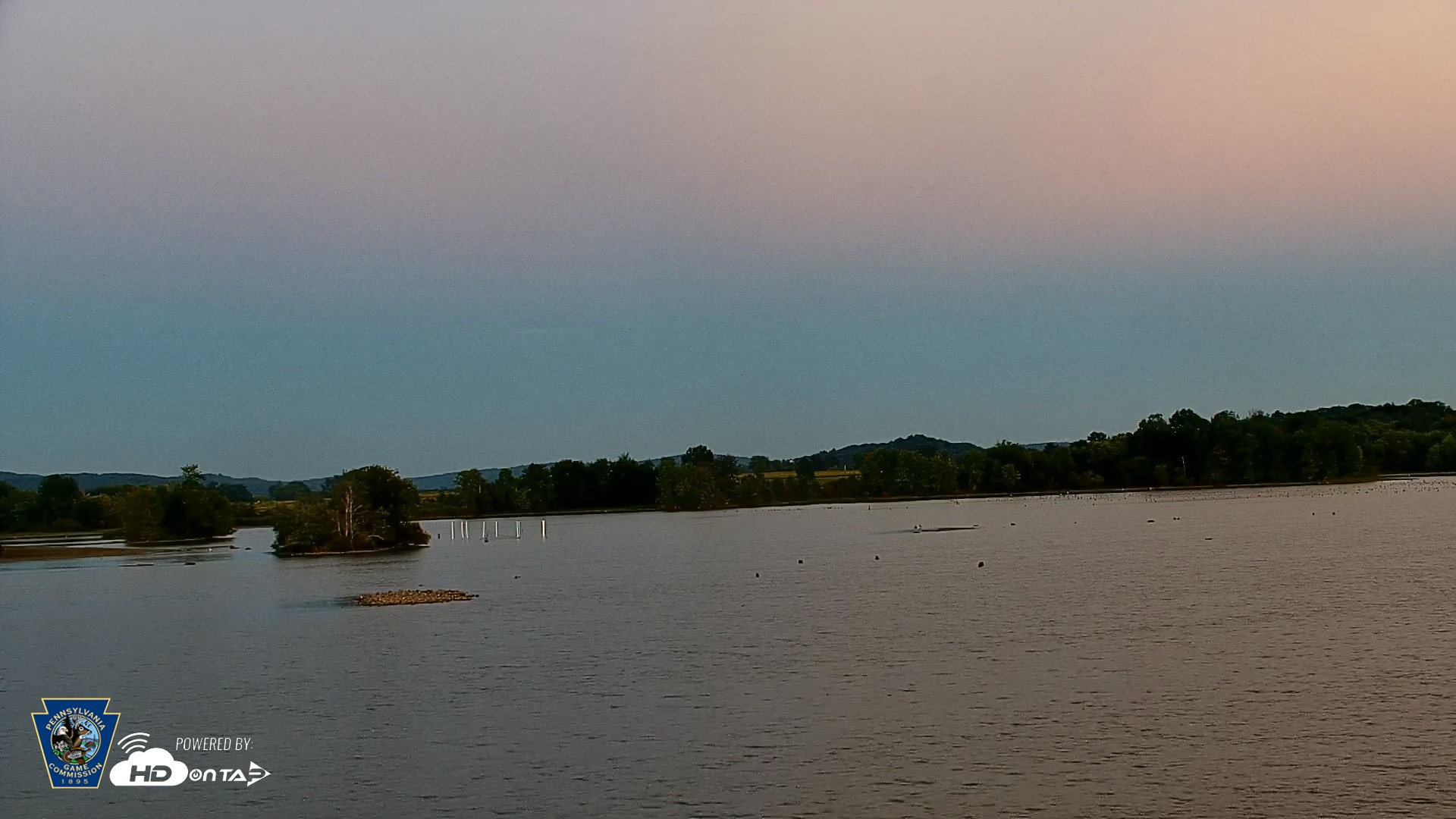 Snapshot of Pennsylvania Snow Geese Live Webcam taken Sep 15, 2026, 7:24pm EDT